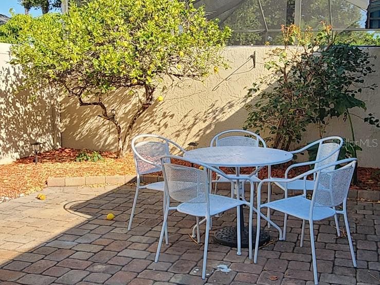 Your own Mature Lemon Tree covered in fruit - 3441 BEEKMAN PL #40, SARASOTA