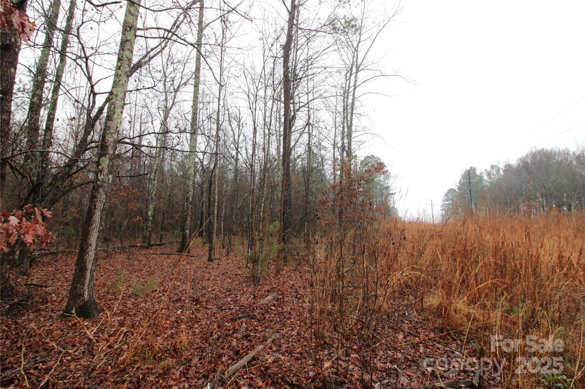 Lot at 4.58+/-AC Eaker Road, Bessemer City, photo 2 of 6