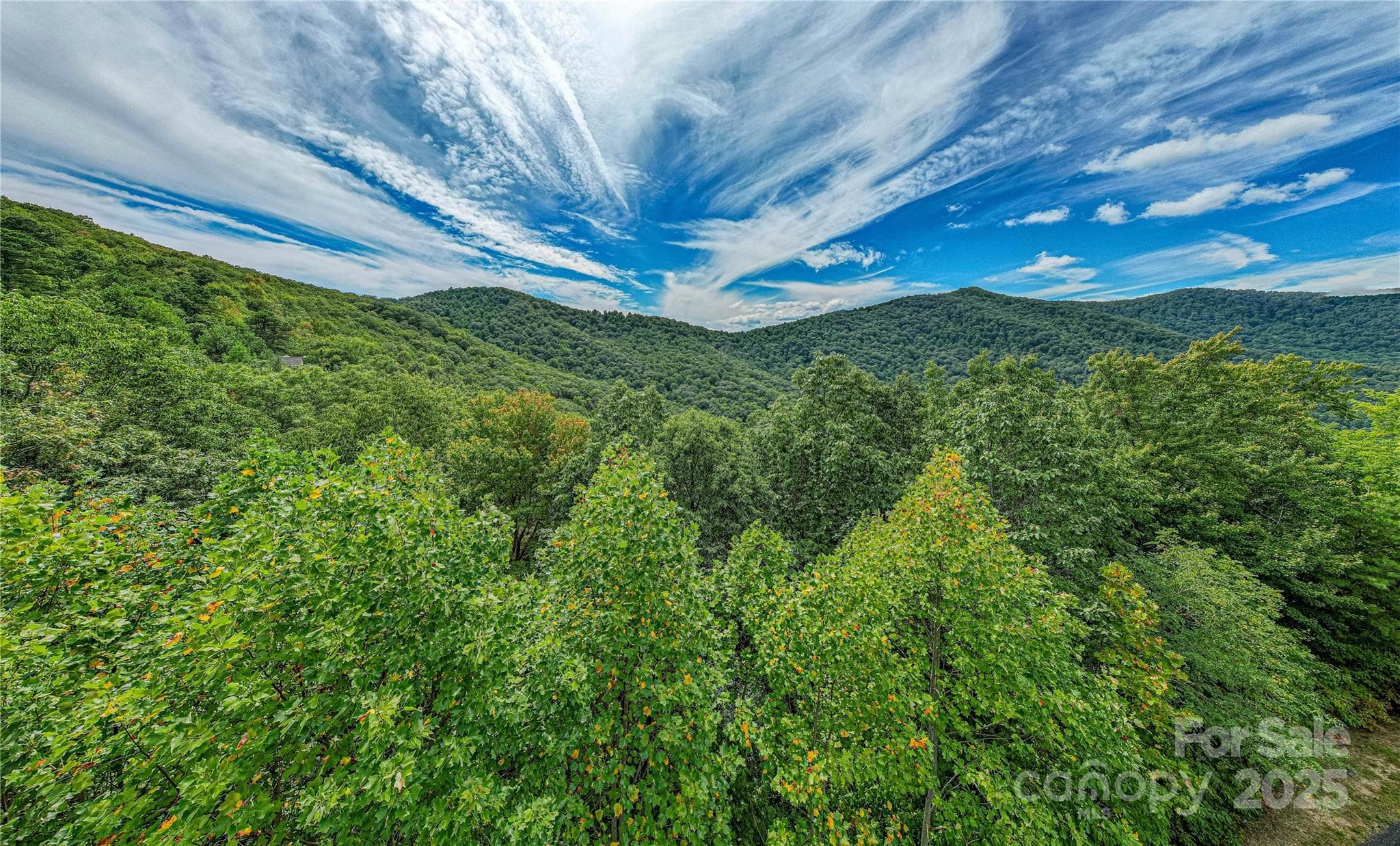 Lot at 579 Bluemist Way, Arden, photo 5 of 20