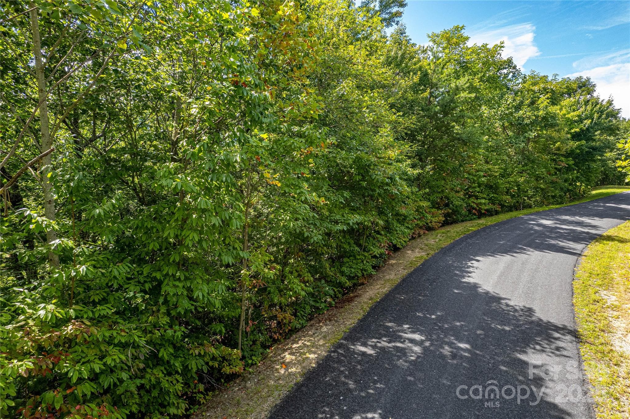 Lot at 579 Bluemist Way, Arden, photo 12 of 20