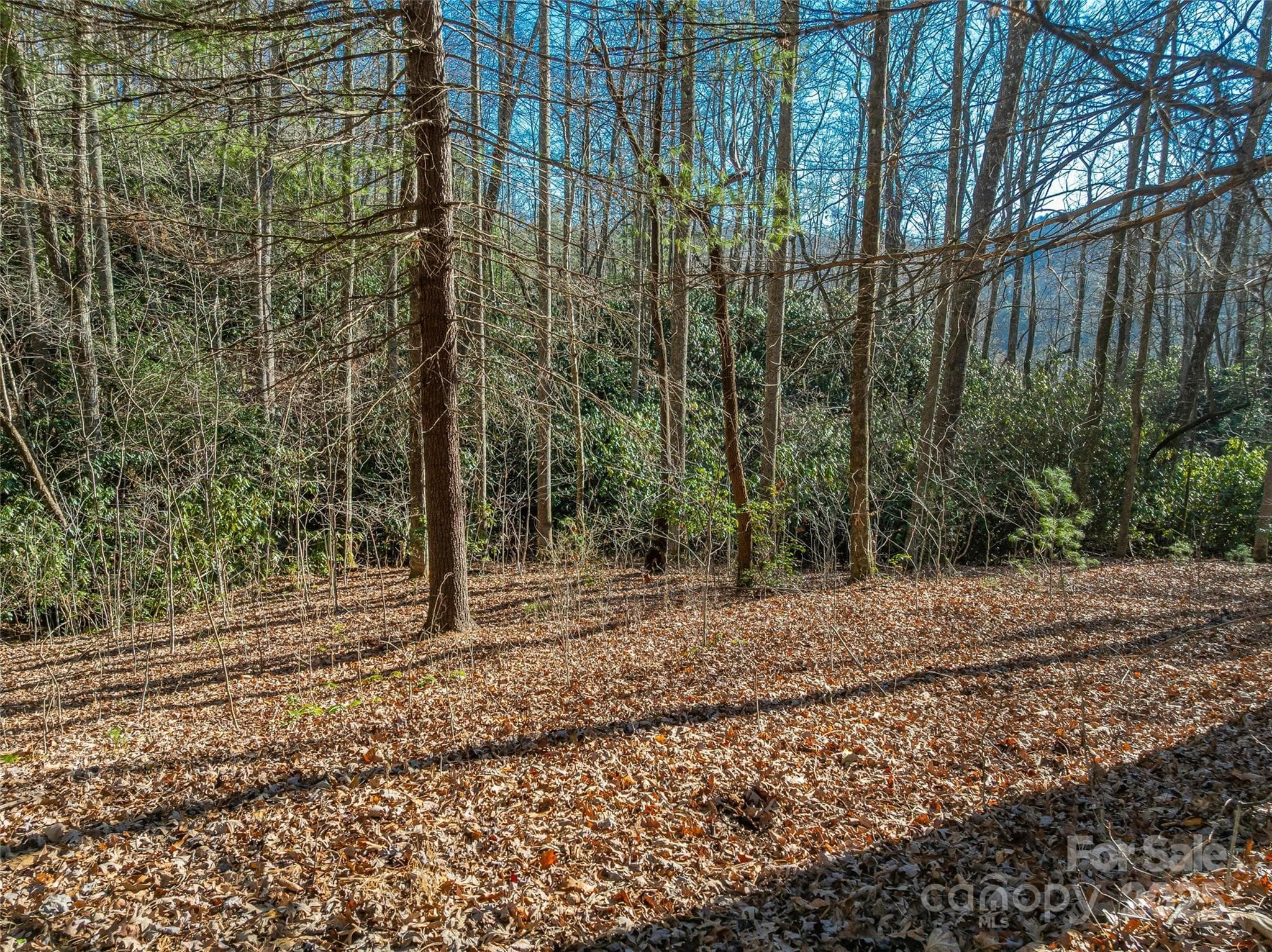 Lot at TBD Ladys Fern Trail, Laurel Park, photo 9 of 32