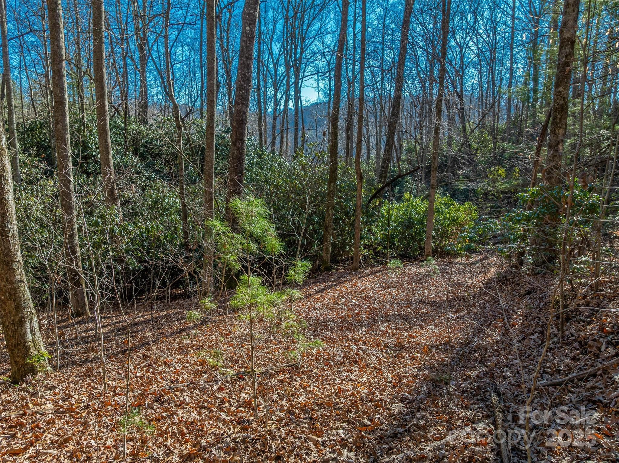 Lot at TBD Ladys Fern Trail, Laurel Park, photo 10 of 32