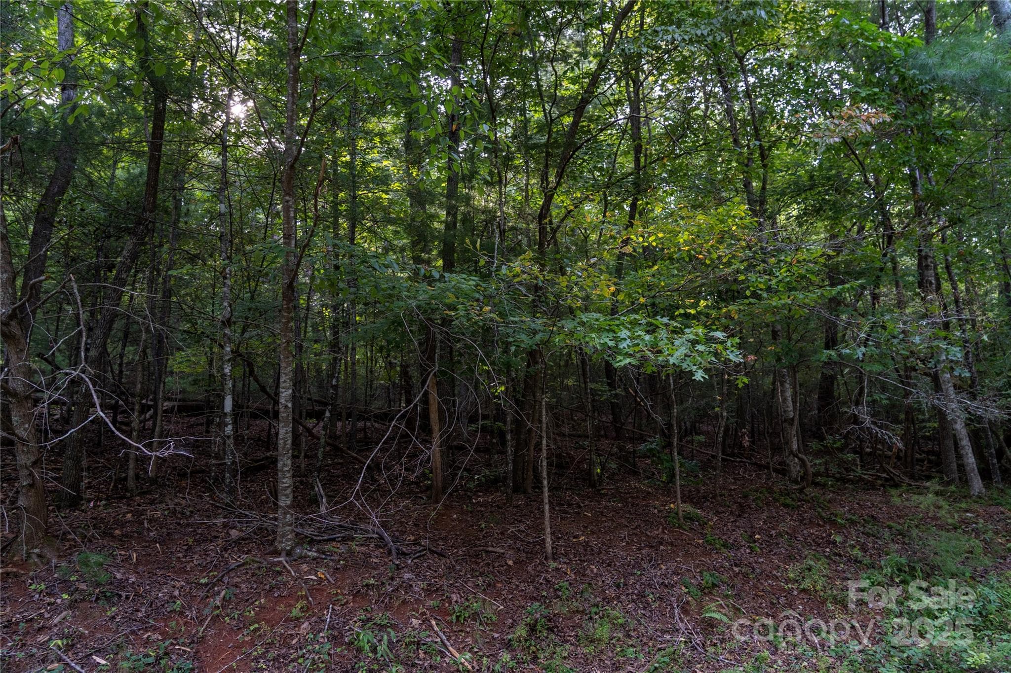 Lot at 0 Swans Way E, Lake Lure, photo 2 of 11