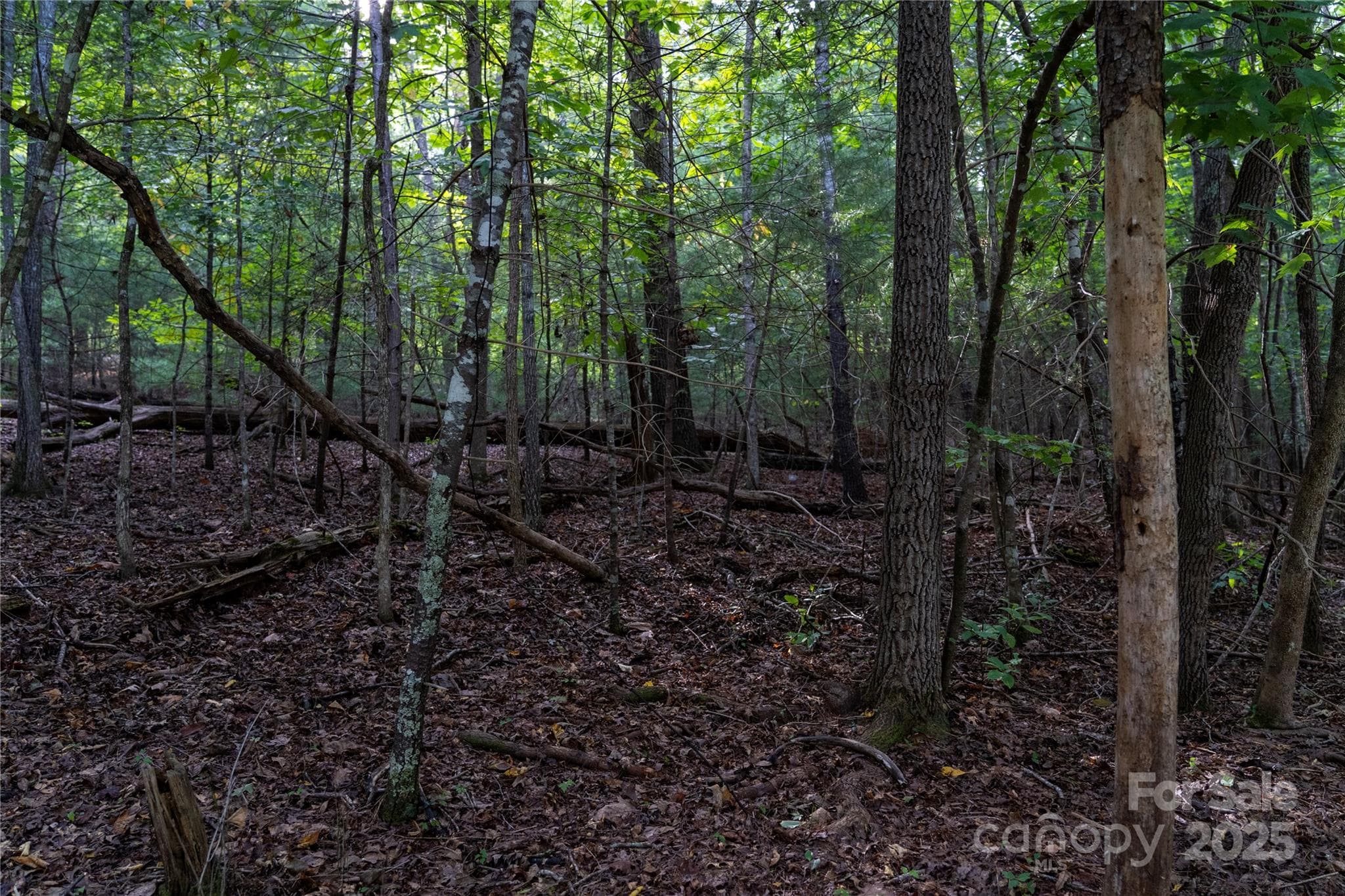 Lot at 0 Swans Way E, Lake Lure, photo 3 of 11