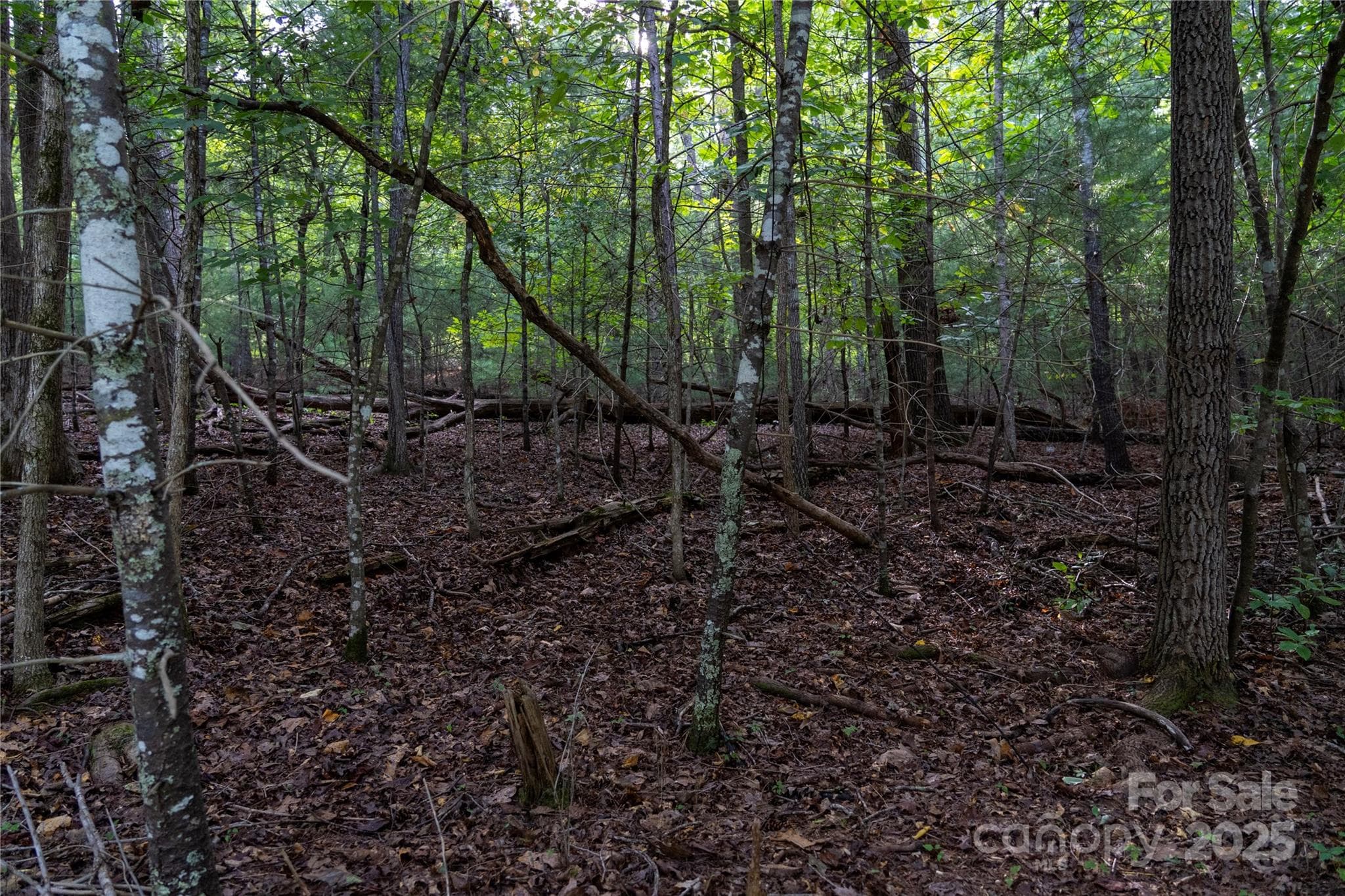 Lot at 0 Swans Way E, Lake Lure, photo 4 of 11