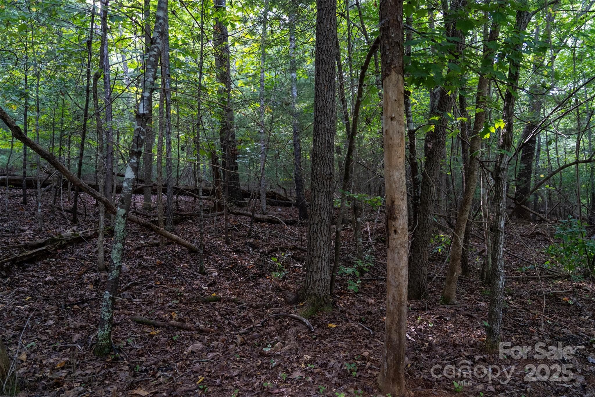 Lot at 0 Swans Way E, Lake Lure, photo 5 of 11