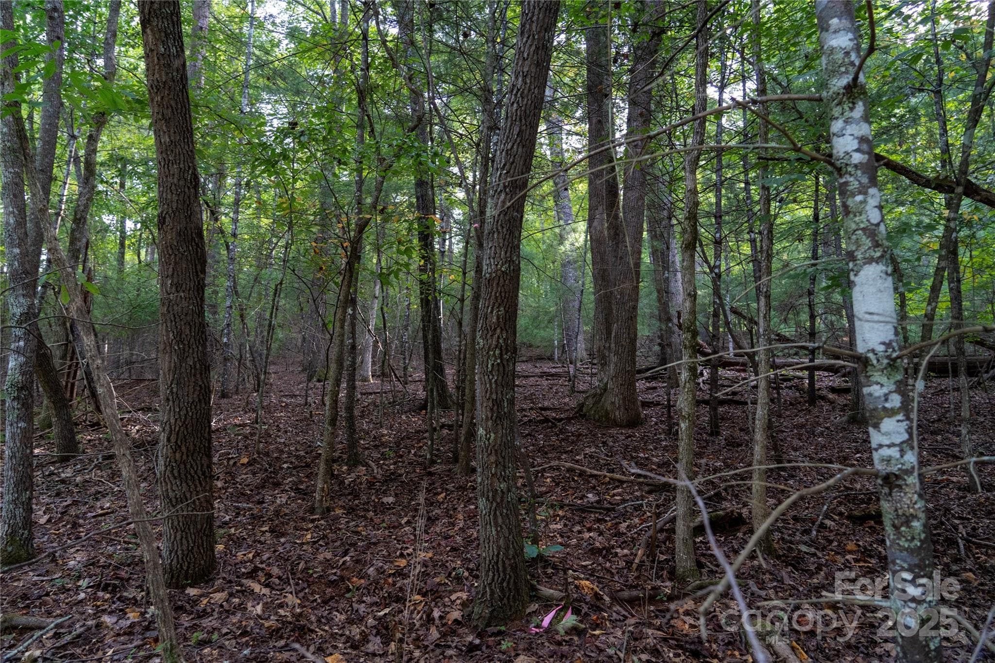 Lot at 0 Swans Way E, Lake Lure, photo 6 of 11