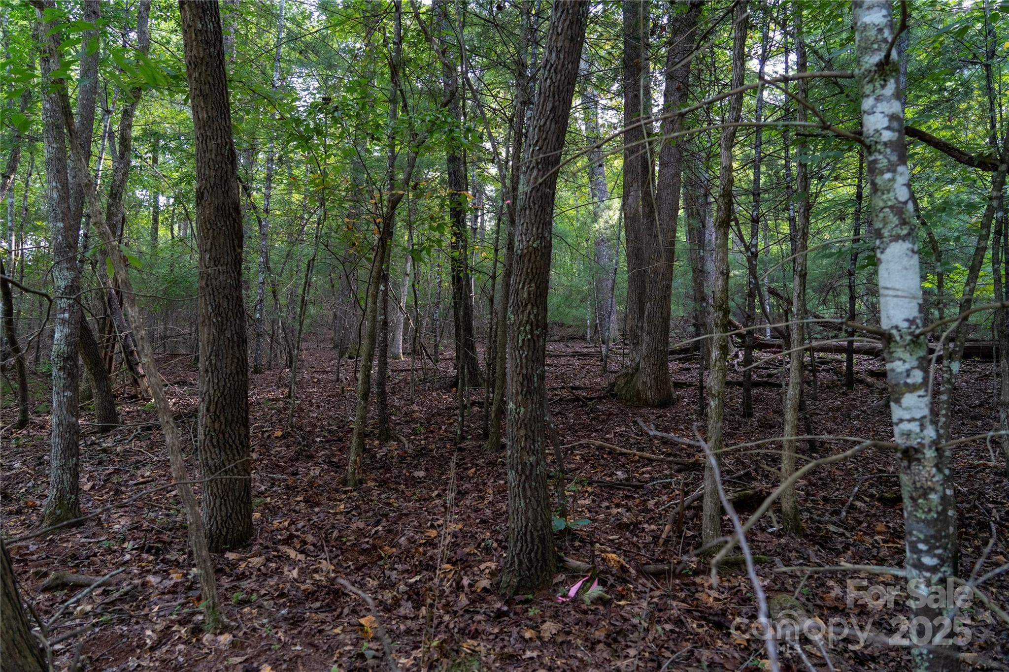 Lot at 0 Swans Way E, Lake Lure, photo 7 of 11