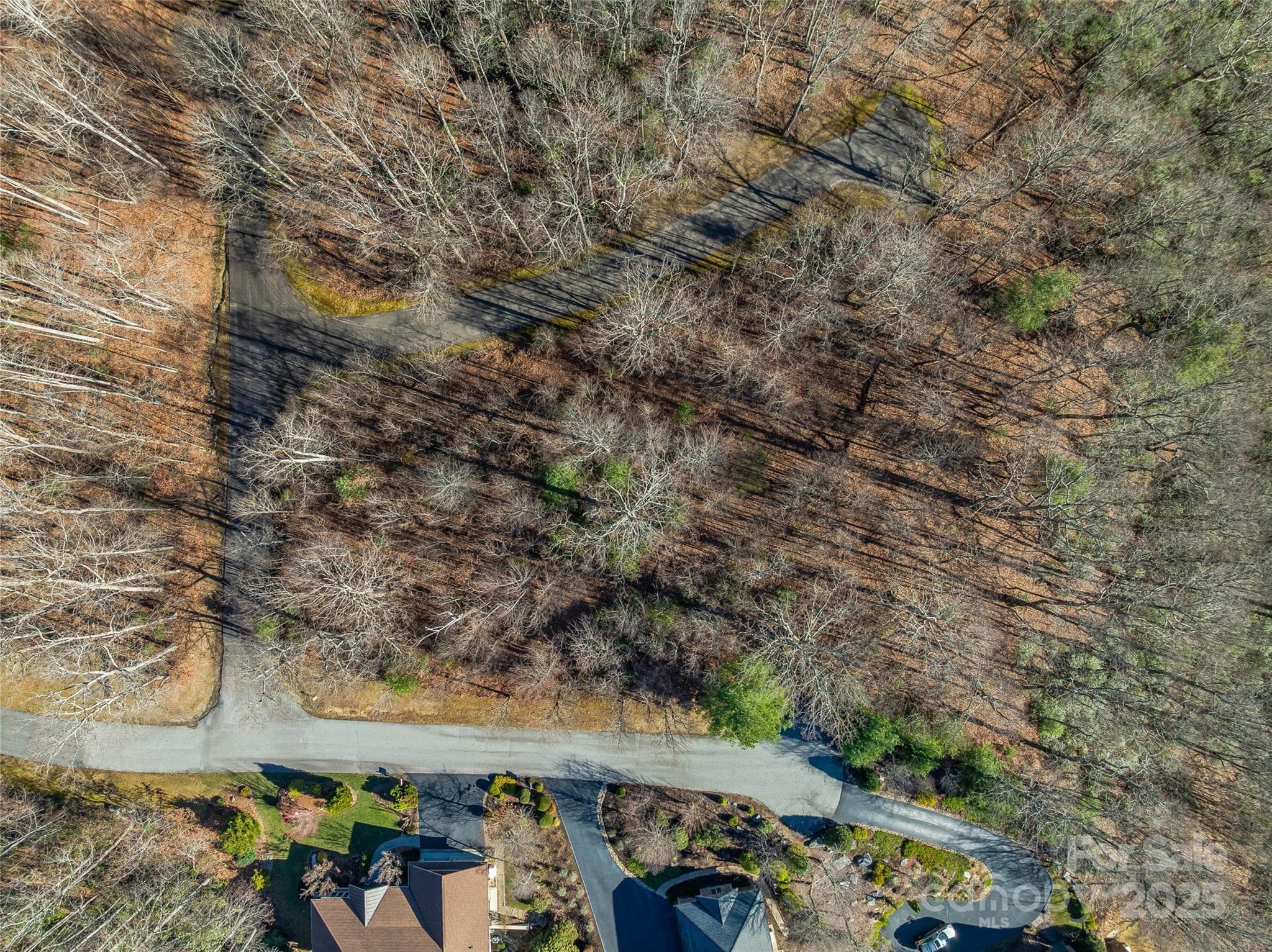 Lot at 211 Ladys Fern Trail, Laurel Park, photo 2 of 31