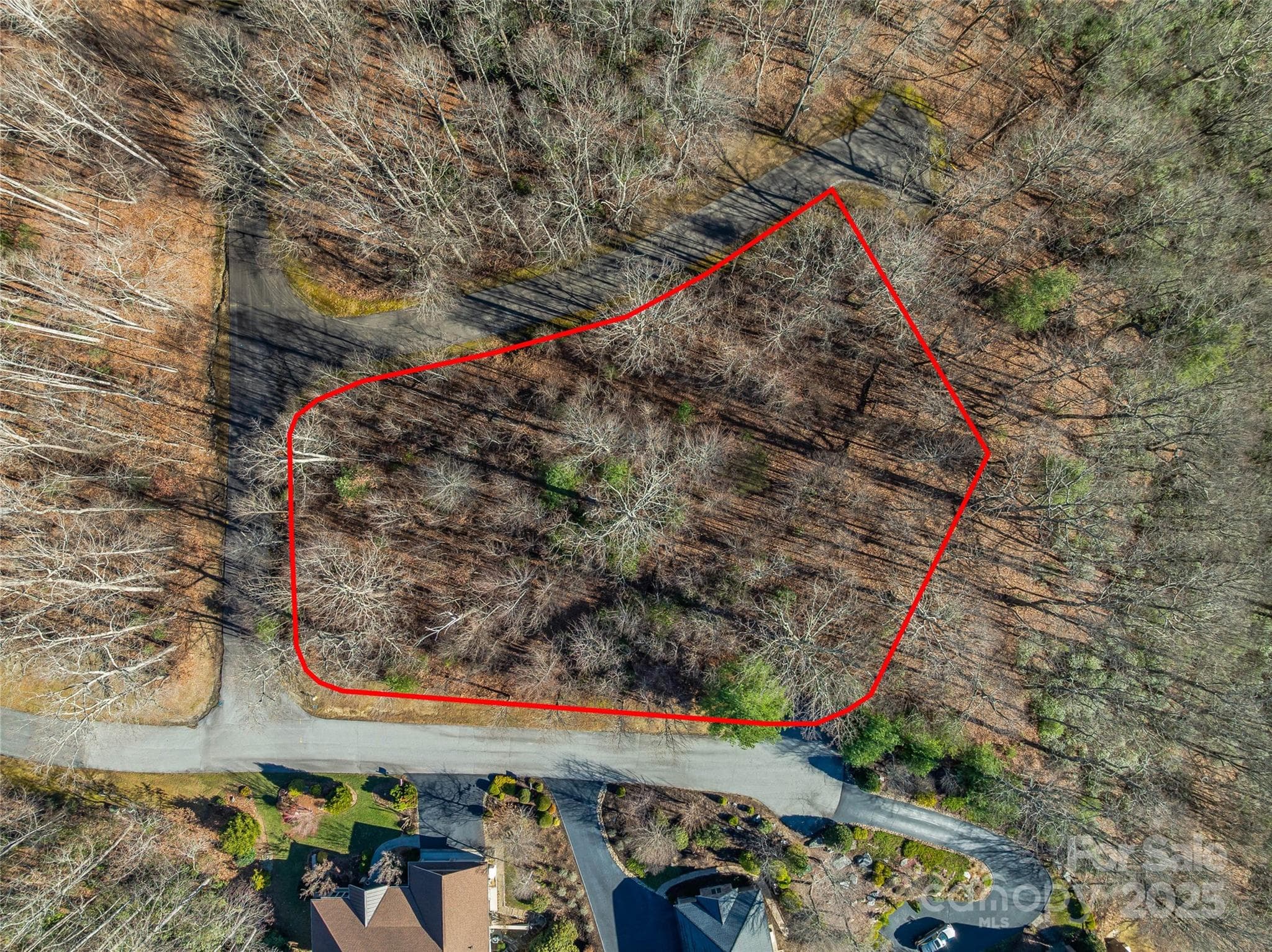 Lot at 211 Ladys Fern Trail, Laurel Park, photo 3 of 31