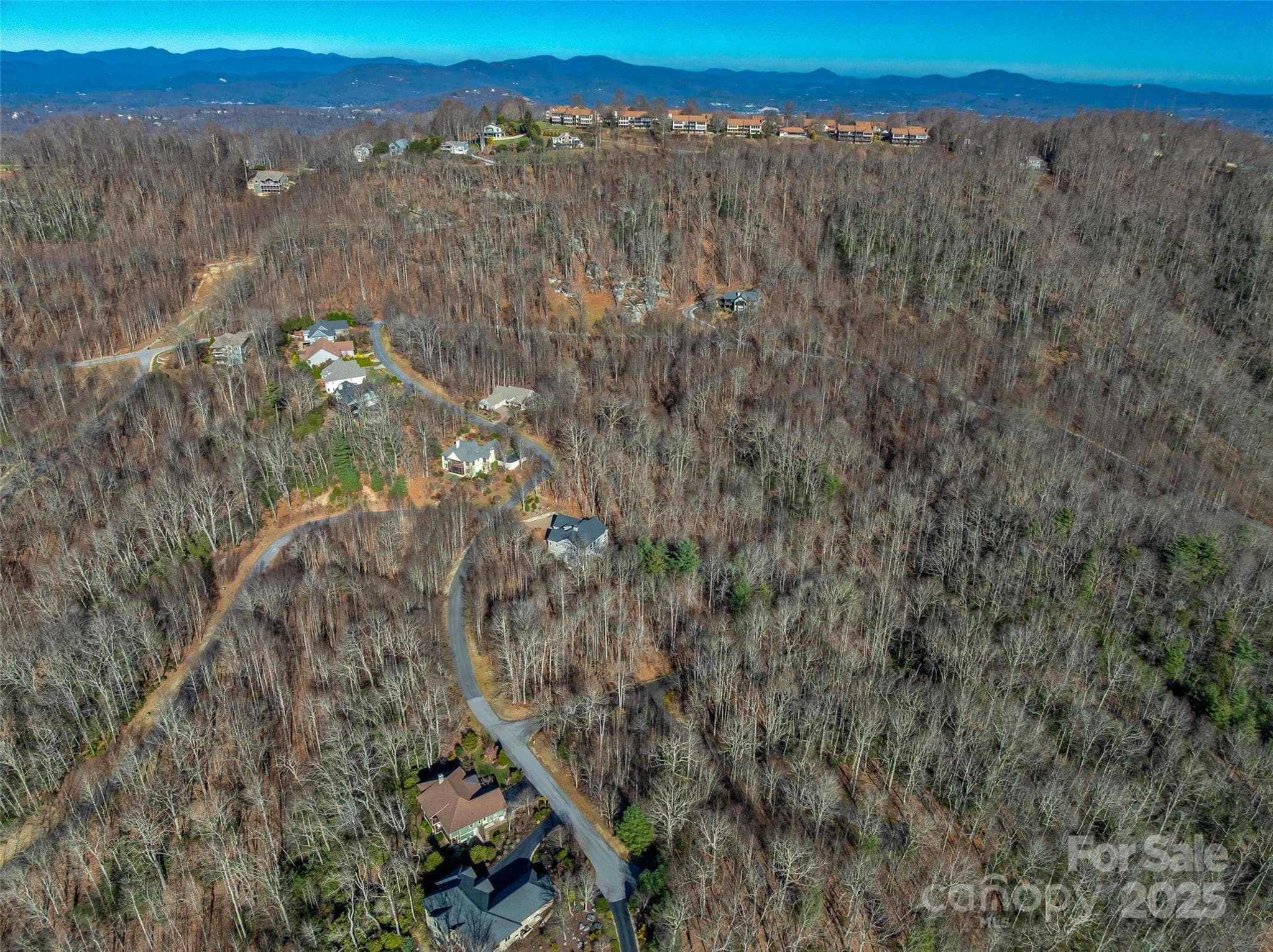 Lot at 211 Ladys Fern Trail, Laurel Park, photo 6 of 31