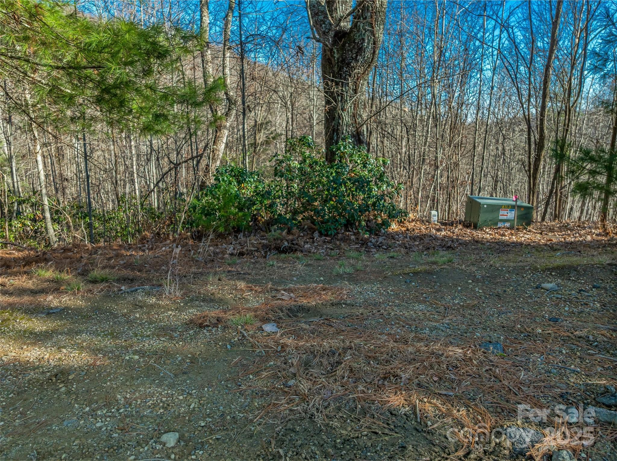 Lot at 211 Ladys Fern Trail, Laurel Park, photo 7 of 31
