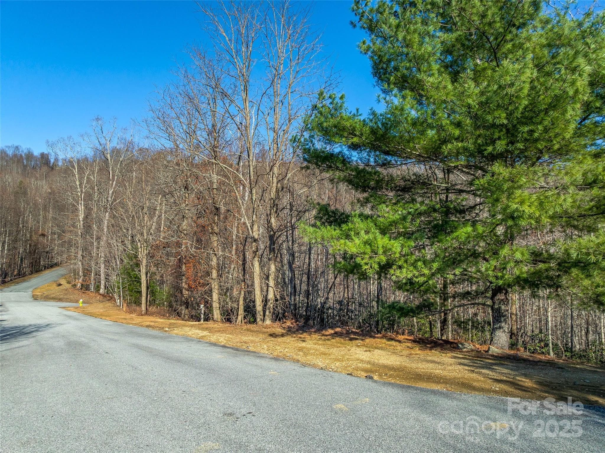 Lot at 211 Ladys Fern Trail, Laurel Park, photo 8 of 31
