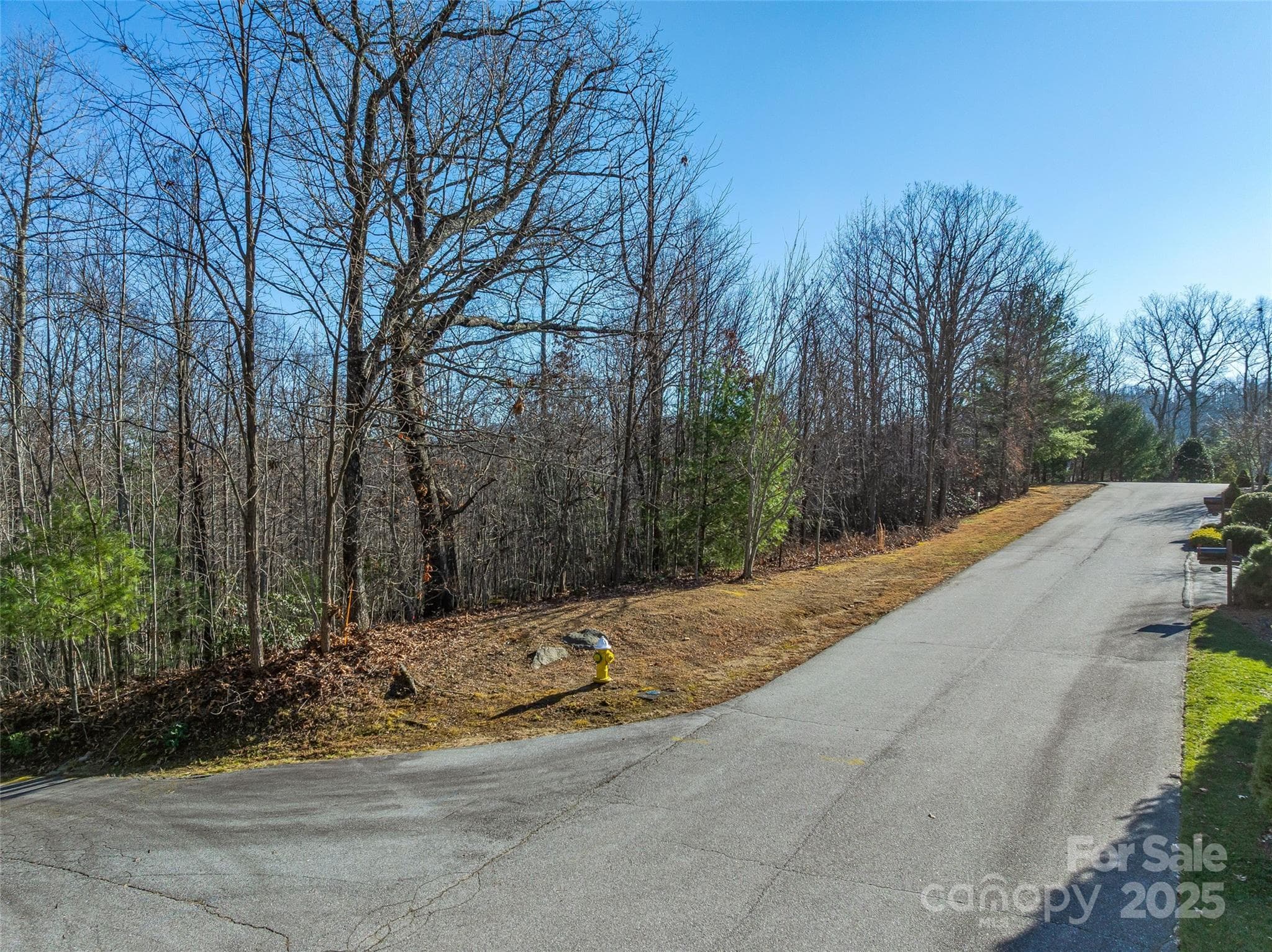 Lot at 211 Ladys Fern Trail, Laurel Park, photo 9 of 31