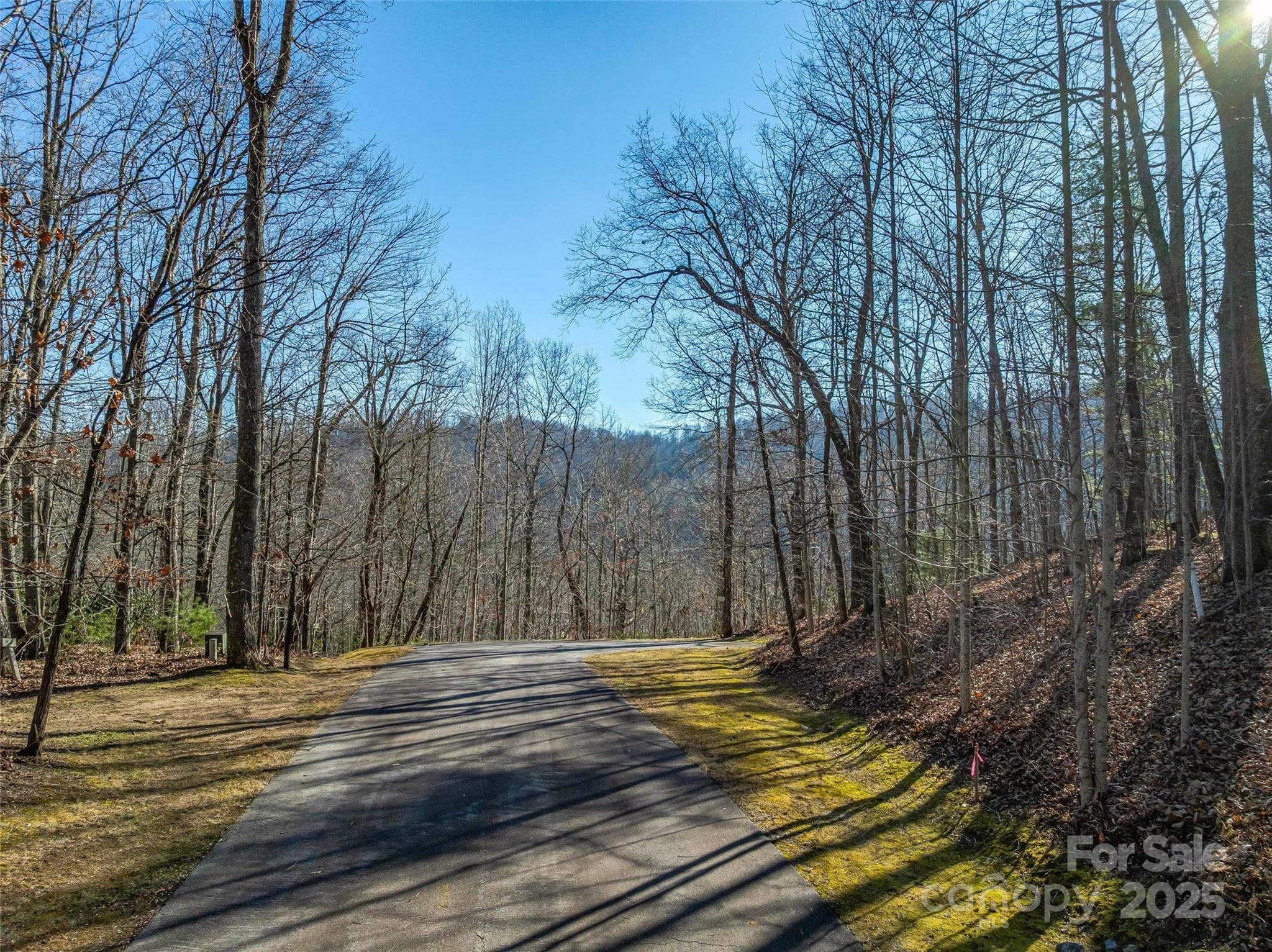Lot at 211 Ladys Fern Trail, Laurel Park, photo 10 of 31