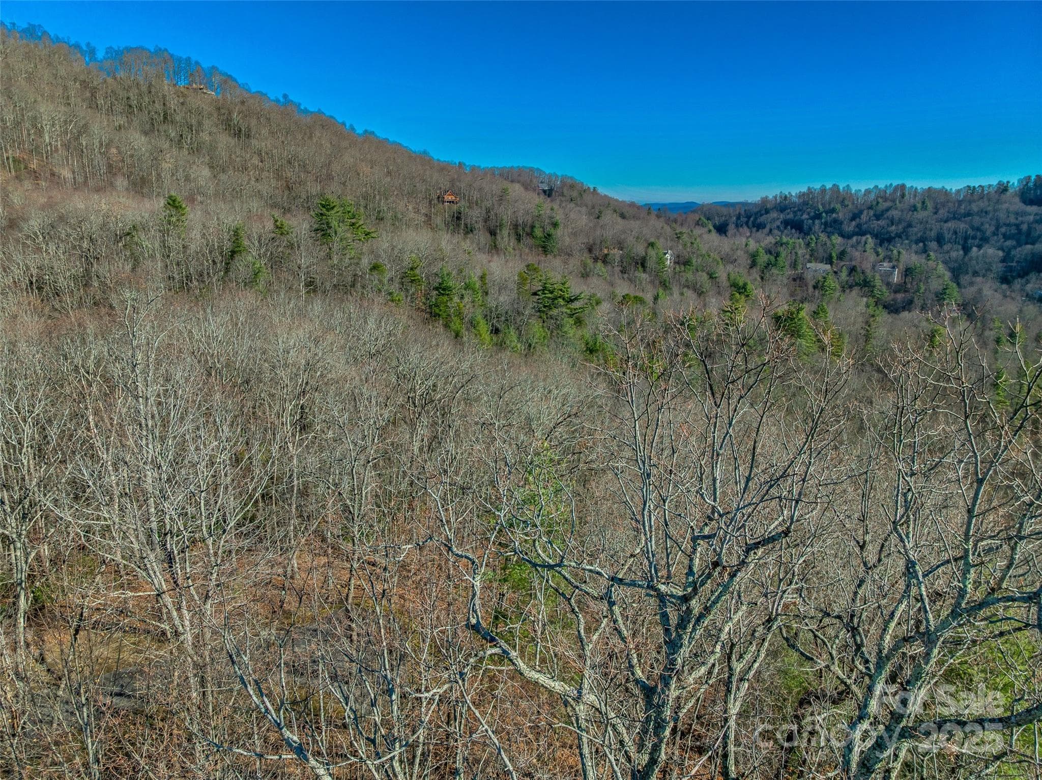 Lot at 211 Ladys Fern Trail, Laurel Park, photo 12 of 31