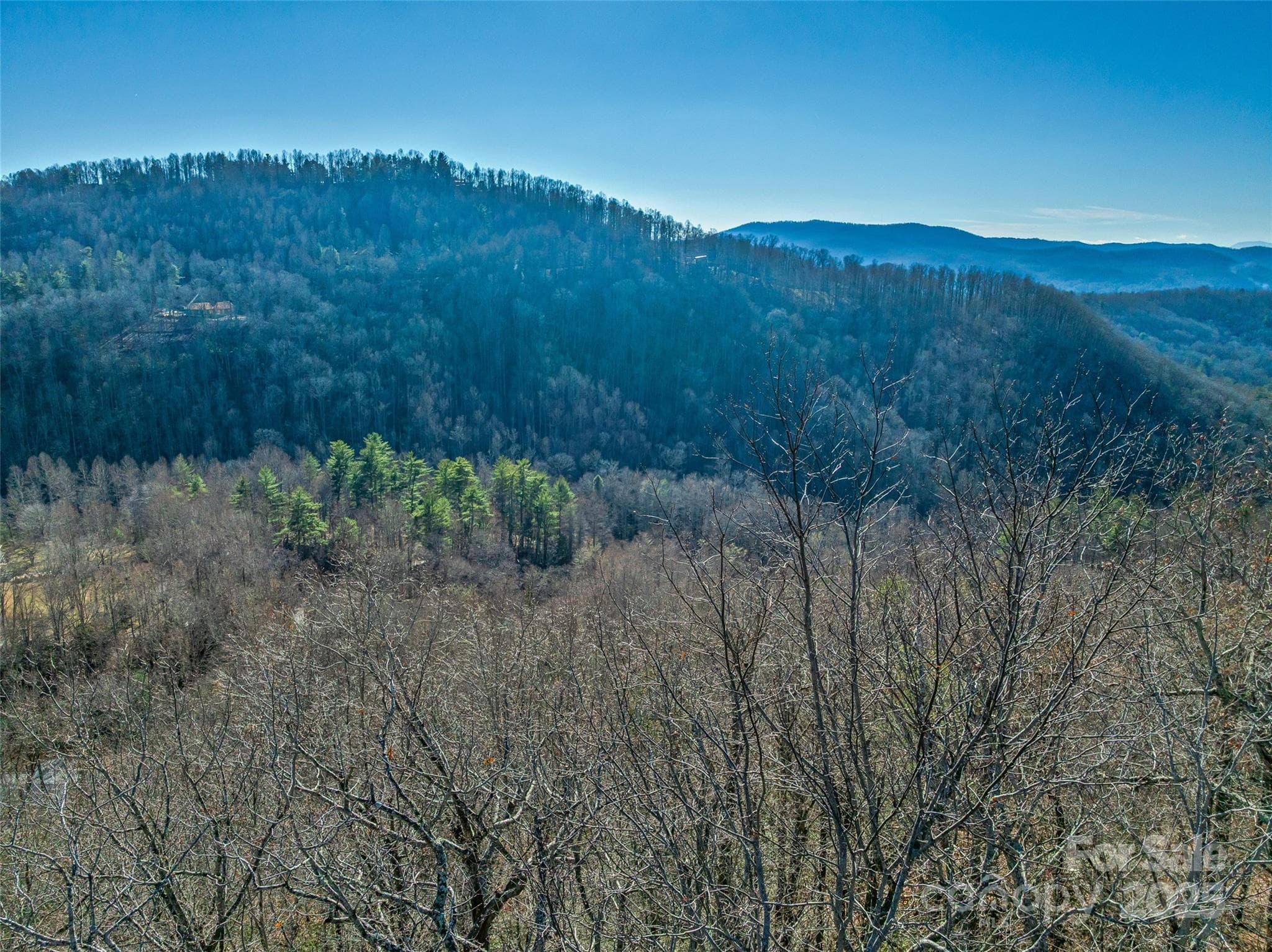 Lot at 211 Ladys Fern Trail, Laurel Park, photo 13 of 31