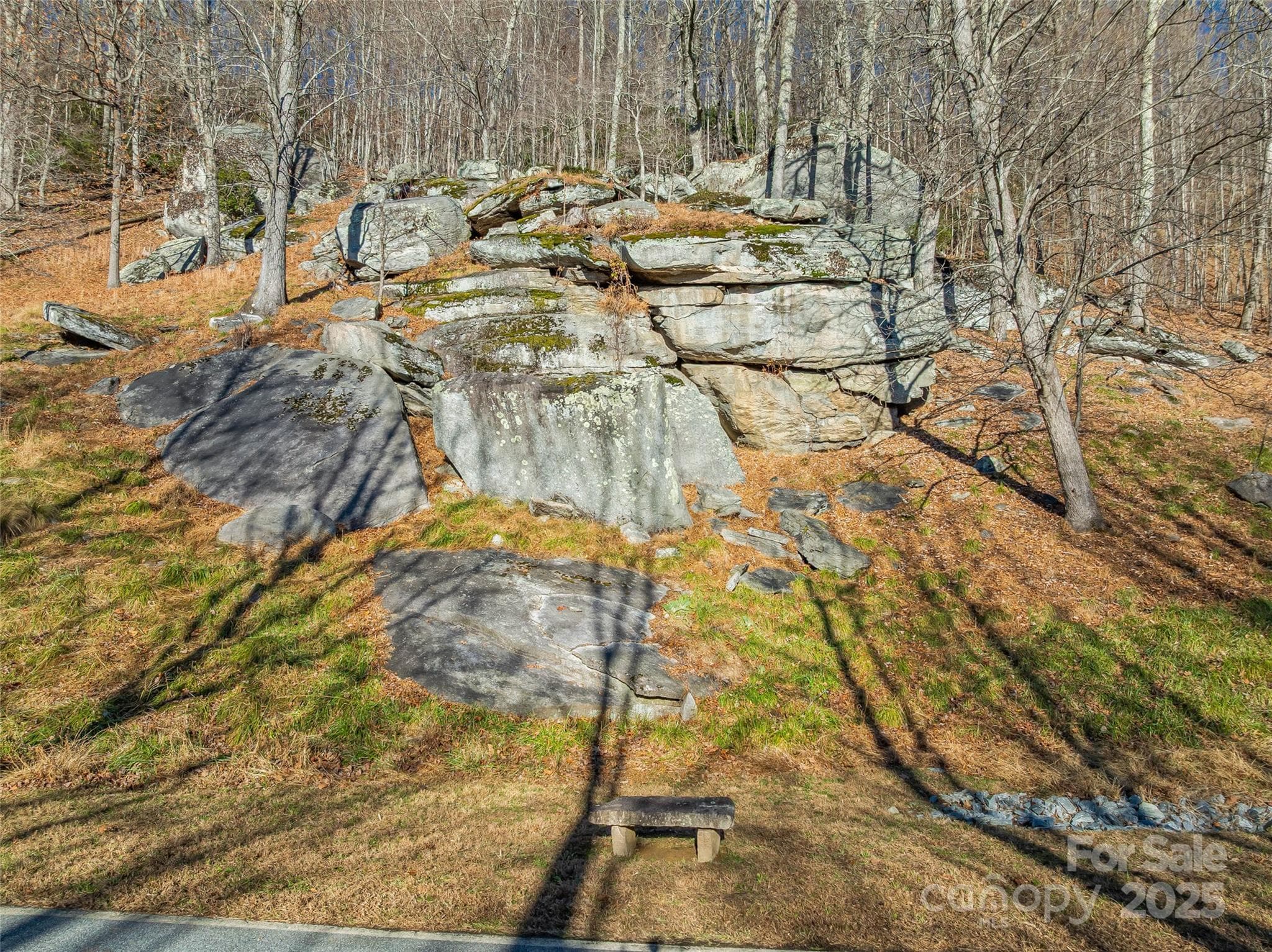 Lot at 211 Ladys Fern Trail, Laurel Park, photo 29 of 31