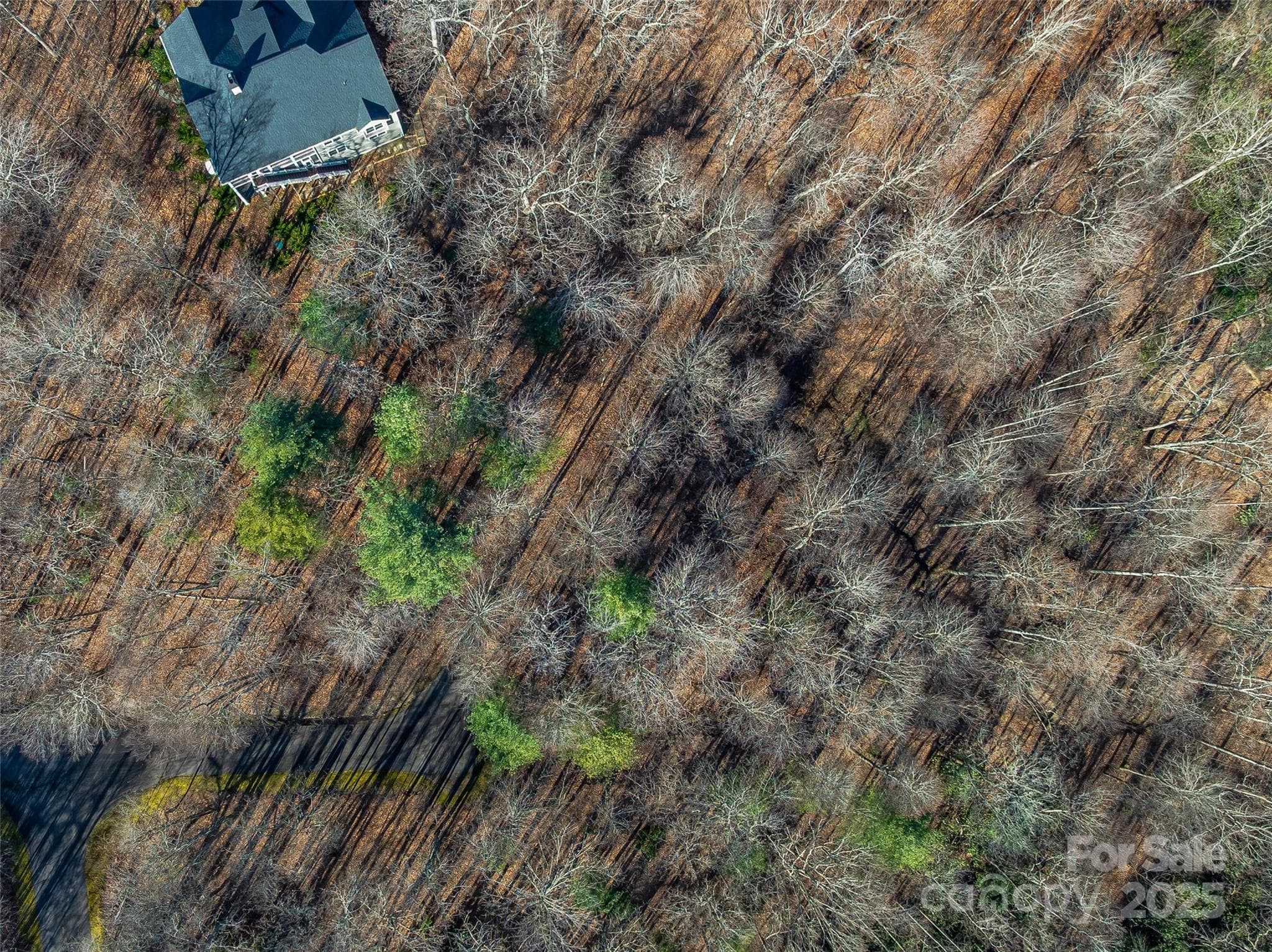 Lot at TBD Ladys Fern Trail, Laurel Park, photo 2 of 32