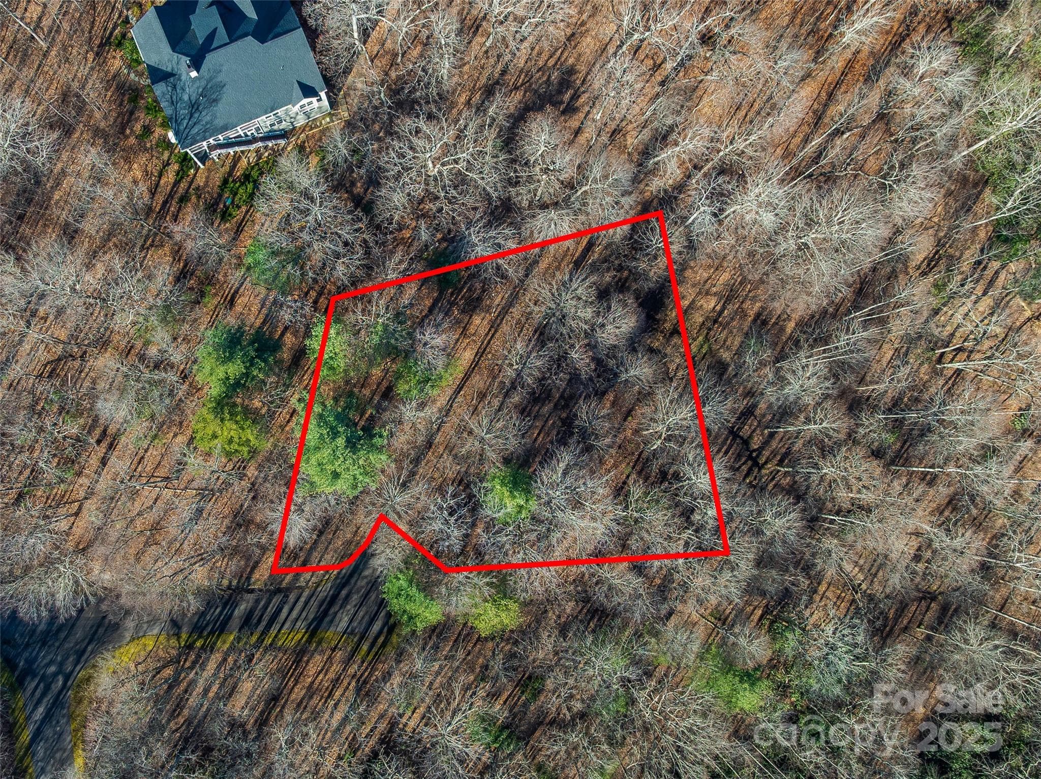Lot at TBD Ladys Fern Trail, Laurel Park, photo 3 of 32