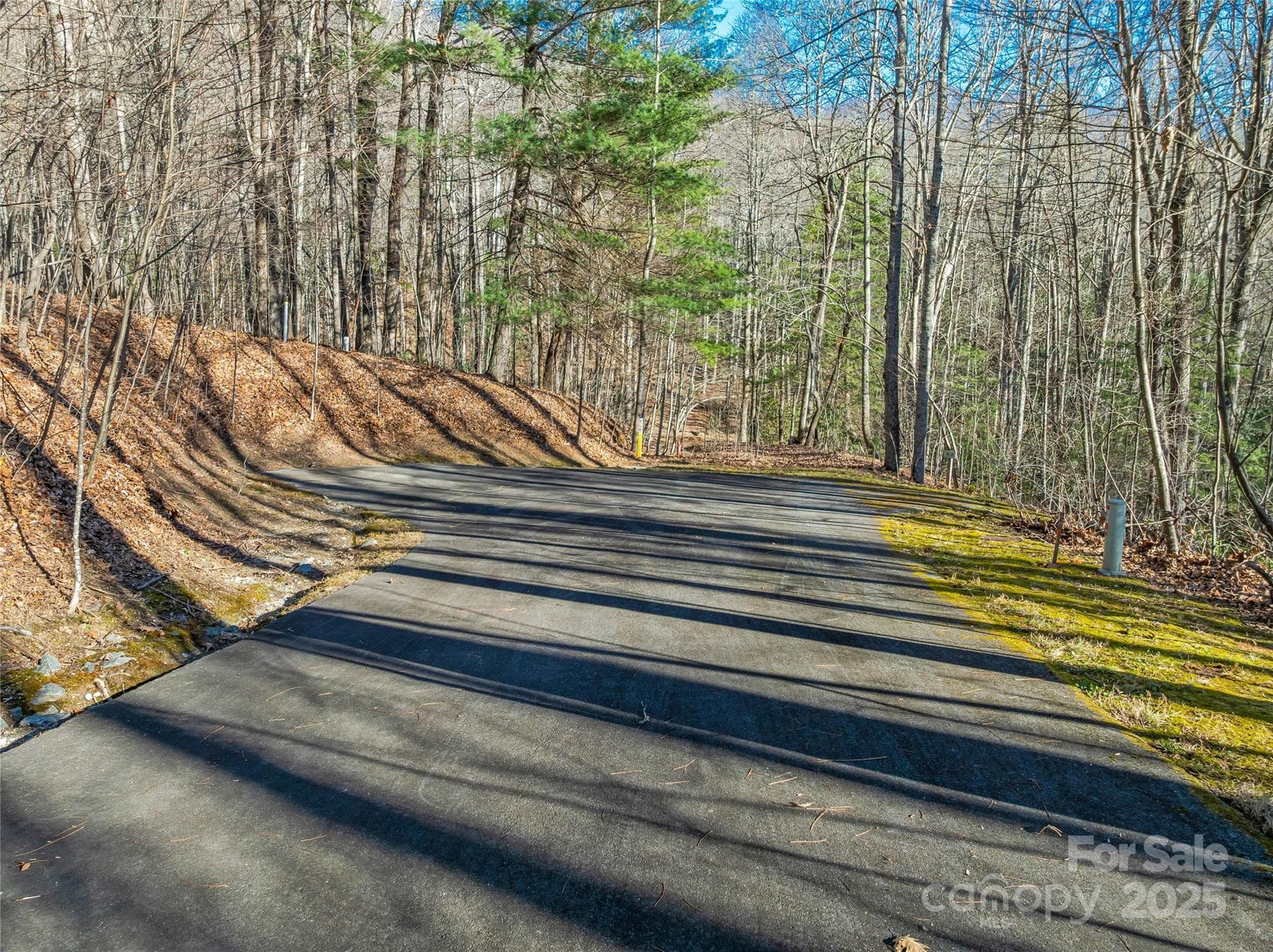 Lot at TBD Ladys Fern Trail, Laurel Park, photo 6 of 32
