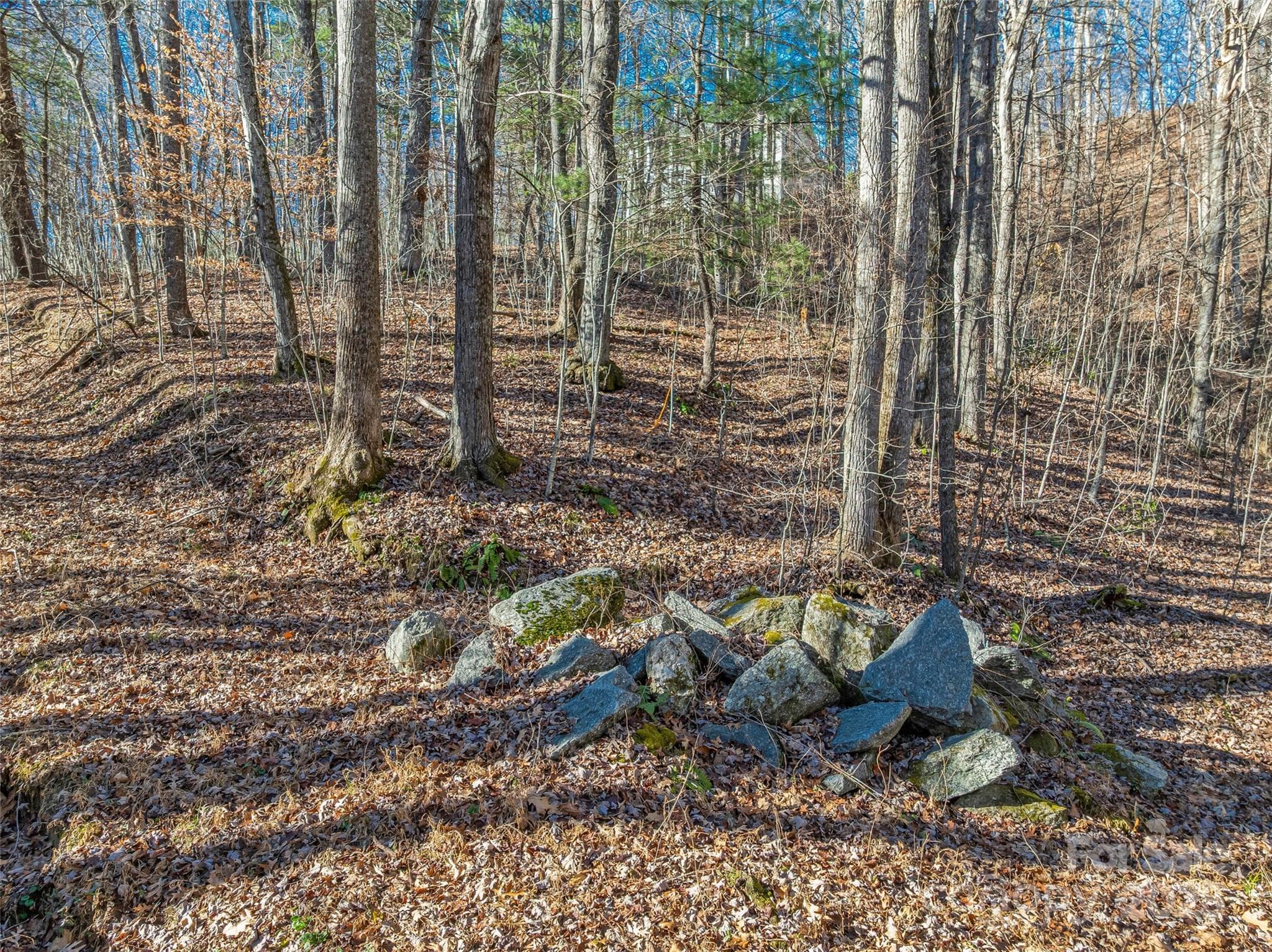 Lot at TBD Ladys Fern Trail, Laurel Park, photo 8 of 32