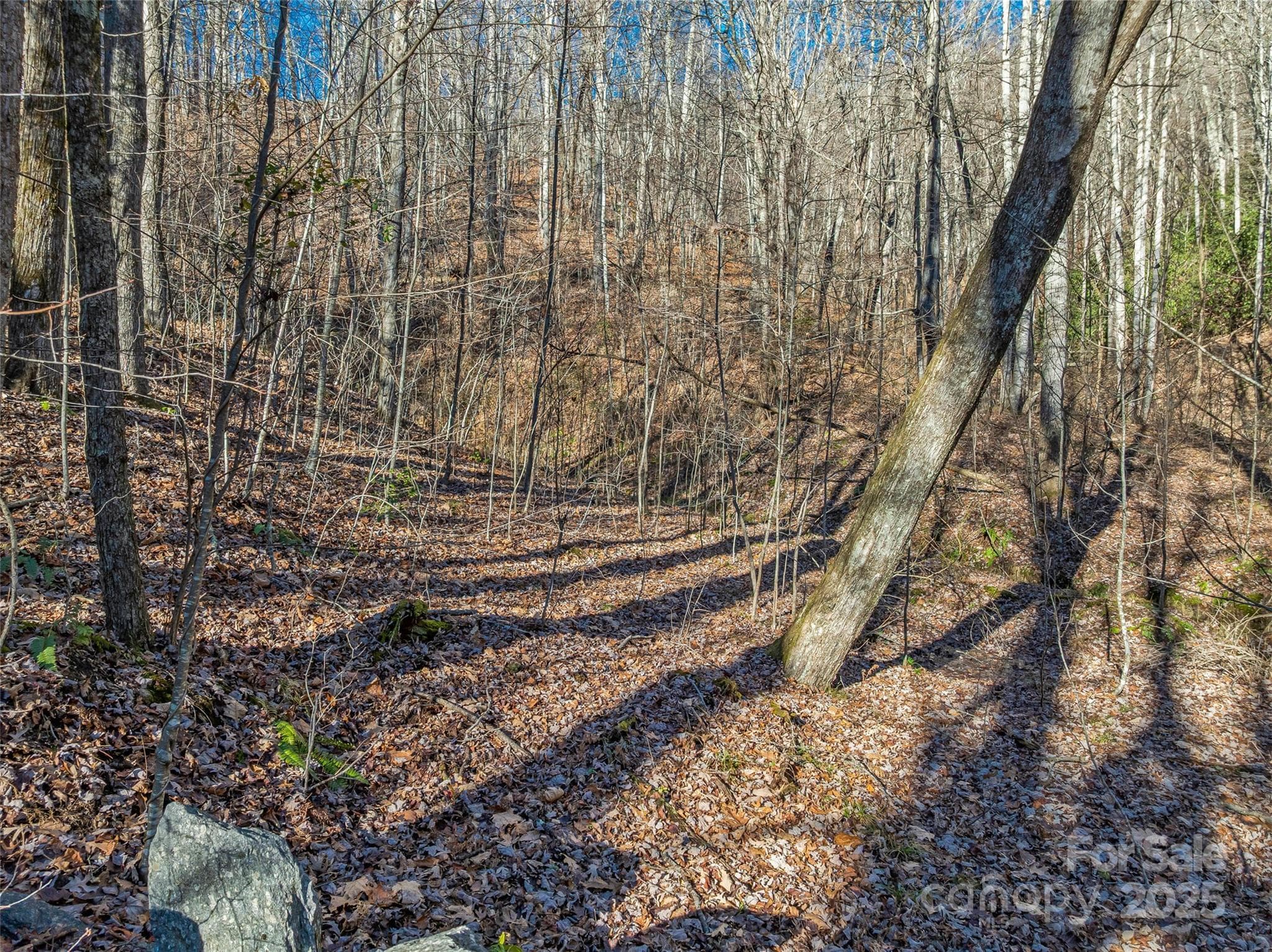 Lot at TBD Ladys Fern Trail, Laurel Park, photo 9 of 32