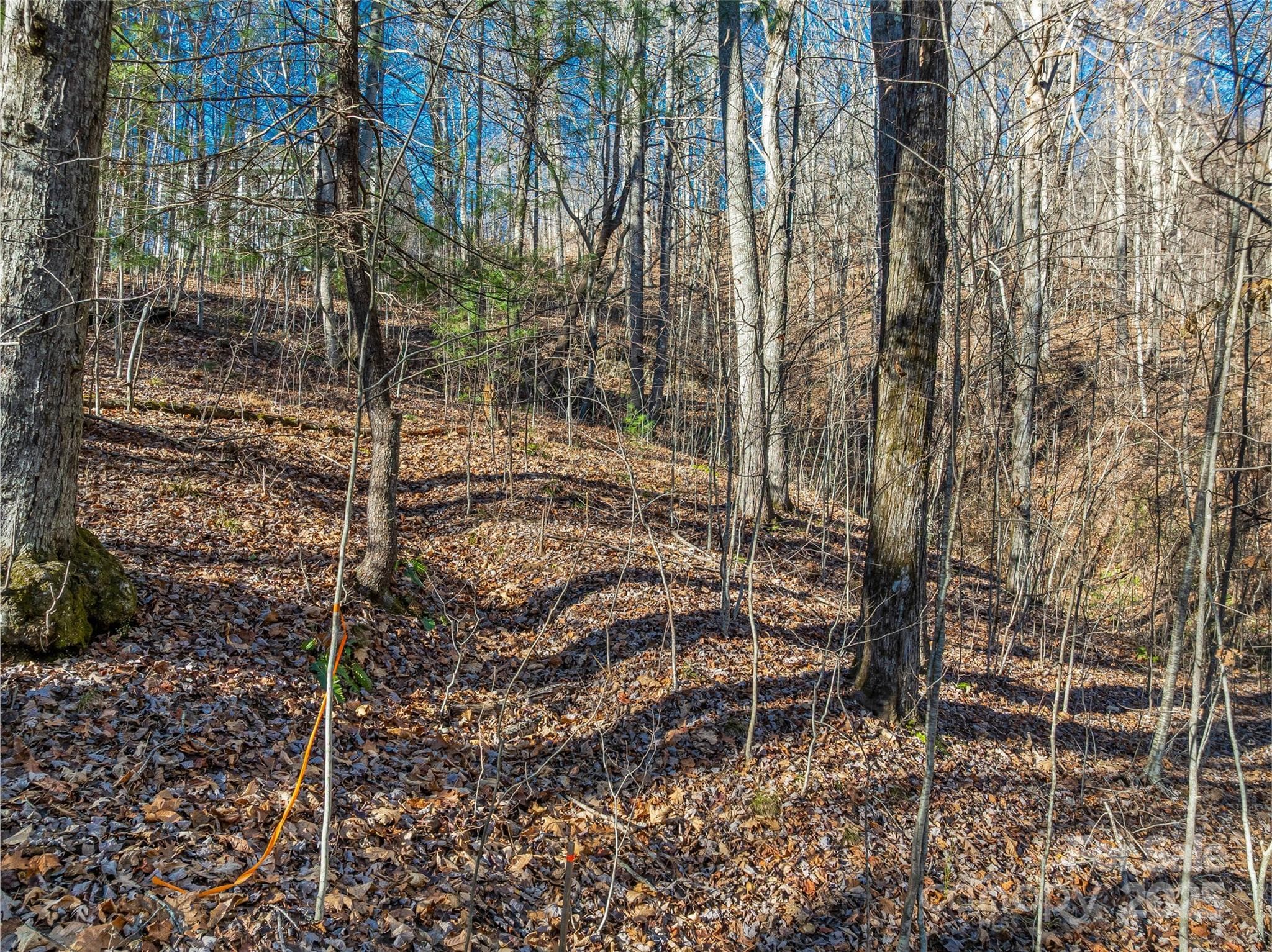 Lot at TBD Ladys Fern Trail, Laurel Park, photo 10 of 32