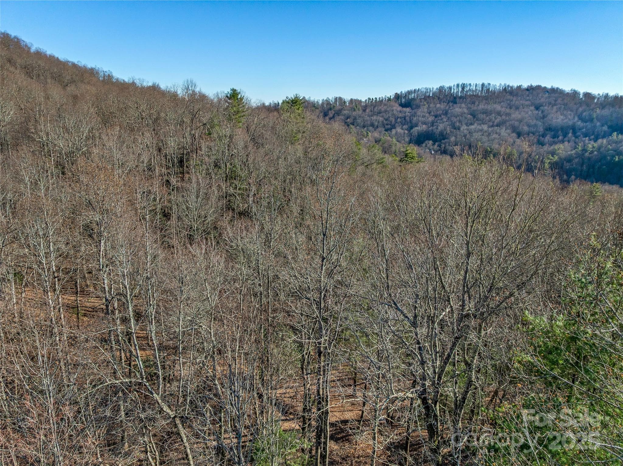 Lot at TBD Ladys Fern Trail, Laurel Park, photo 13 of 32
