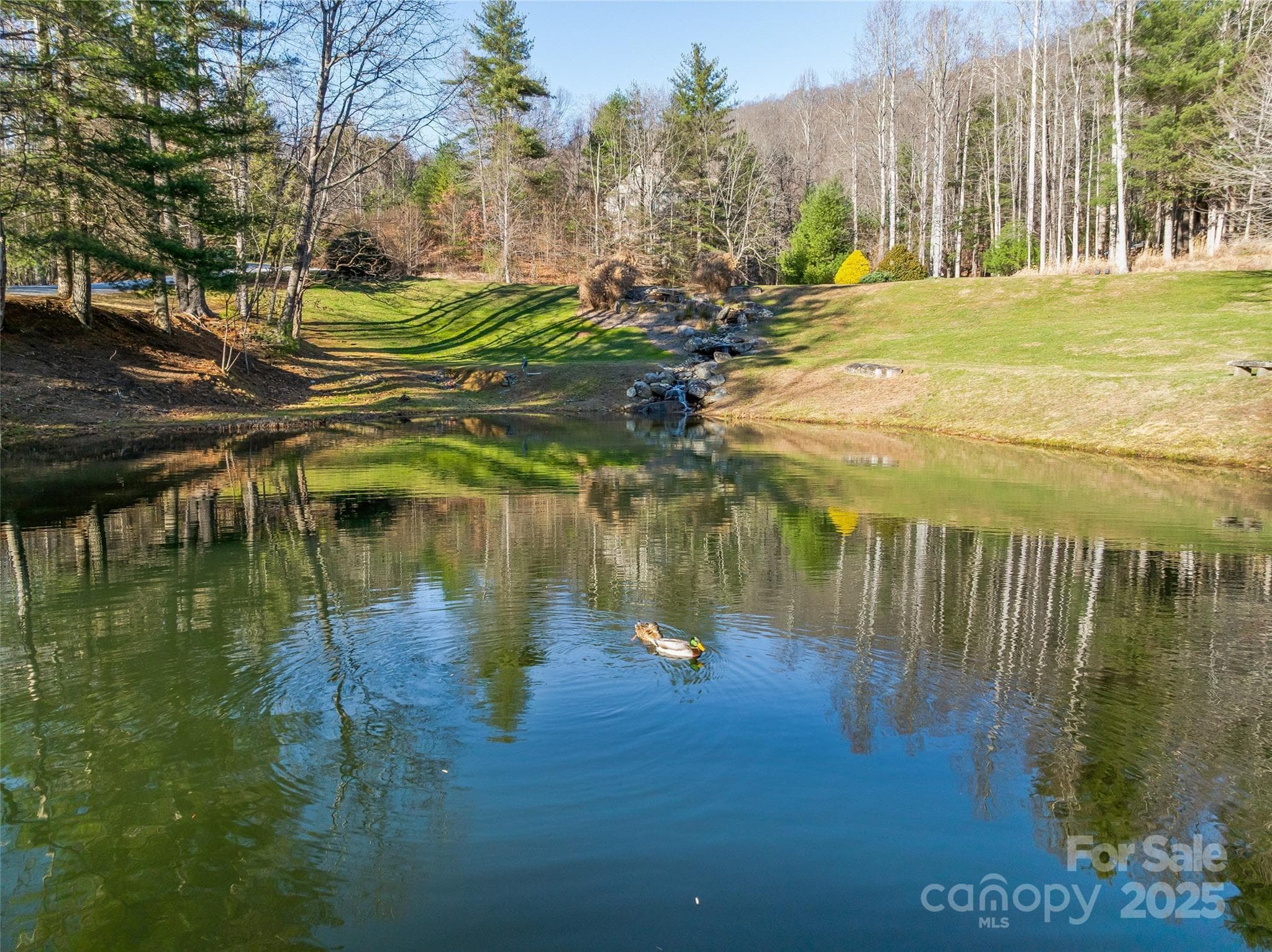 Lot at TBD Ladys Fern Trail, Laurel Park, photo 27 of 32