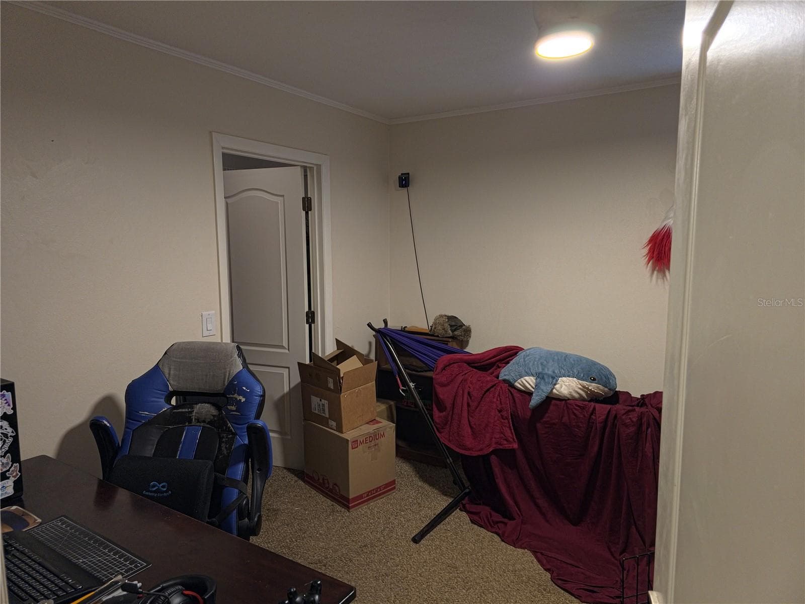 2nd Bedroom with walk in closet - 34041 HIGHLAND RD, LEESBURG