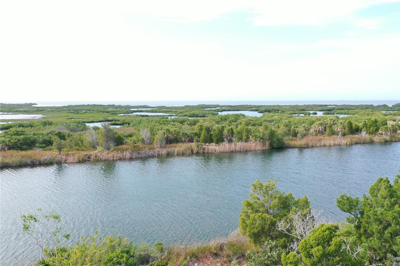 Land at LUGUSTRUM DR, HERNANDO BEACH, photo 6 of 8