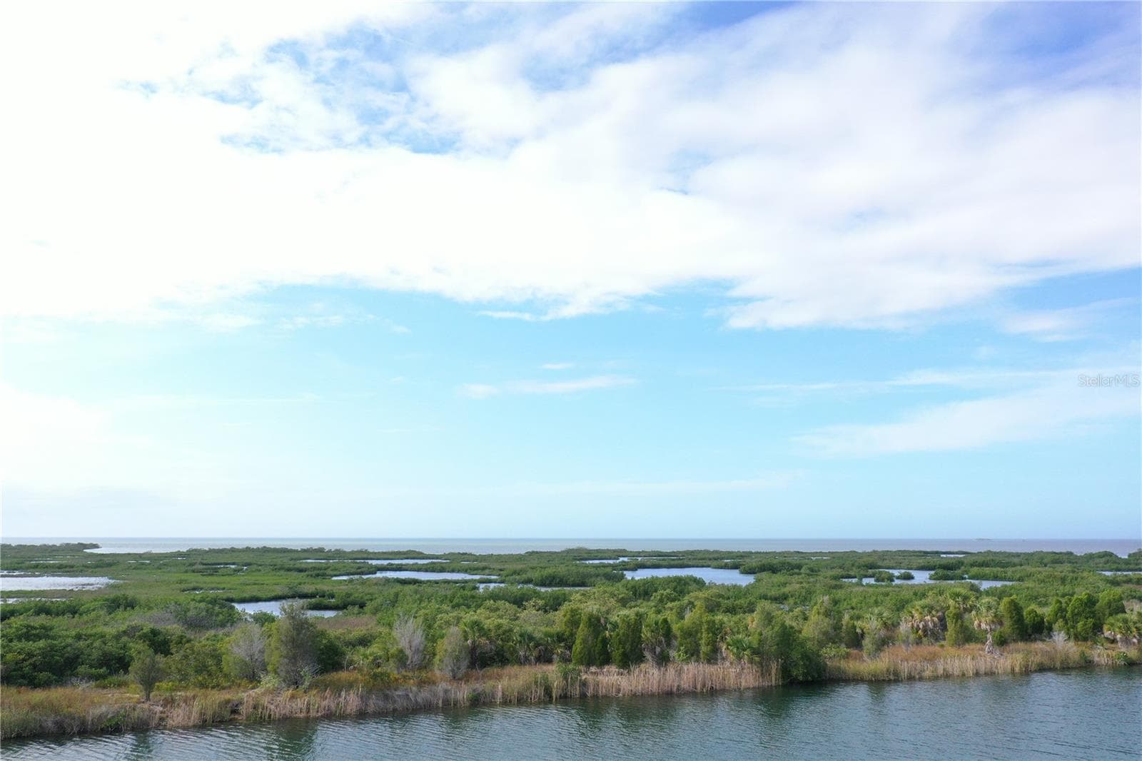 Land at LUGUSTRUM DR, HERNANDO BEACH, photo 3 of 8