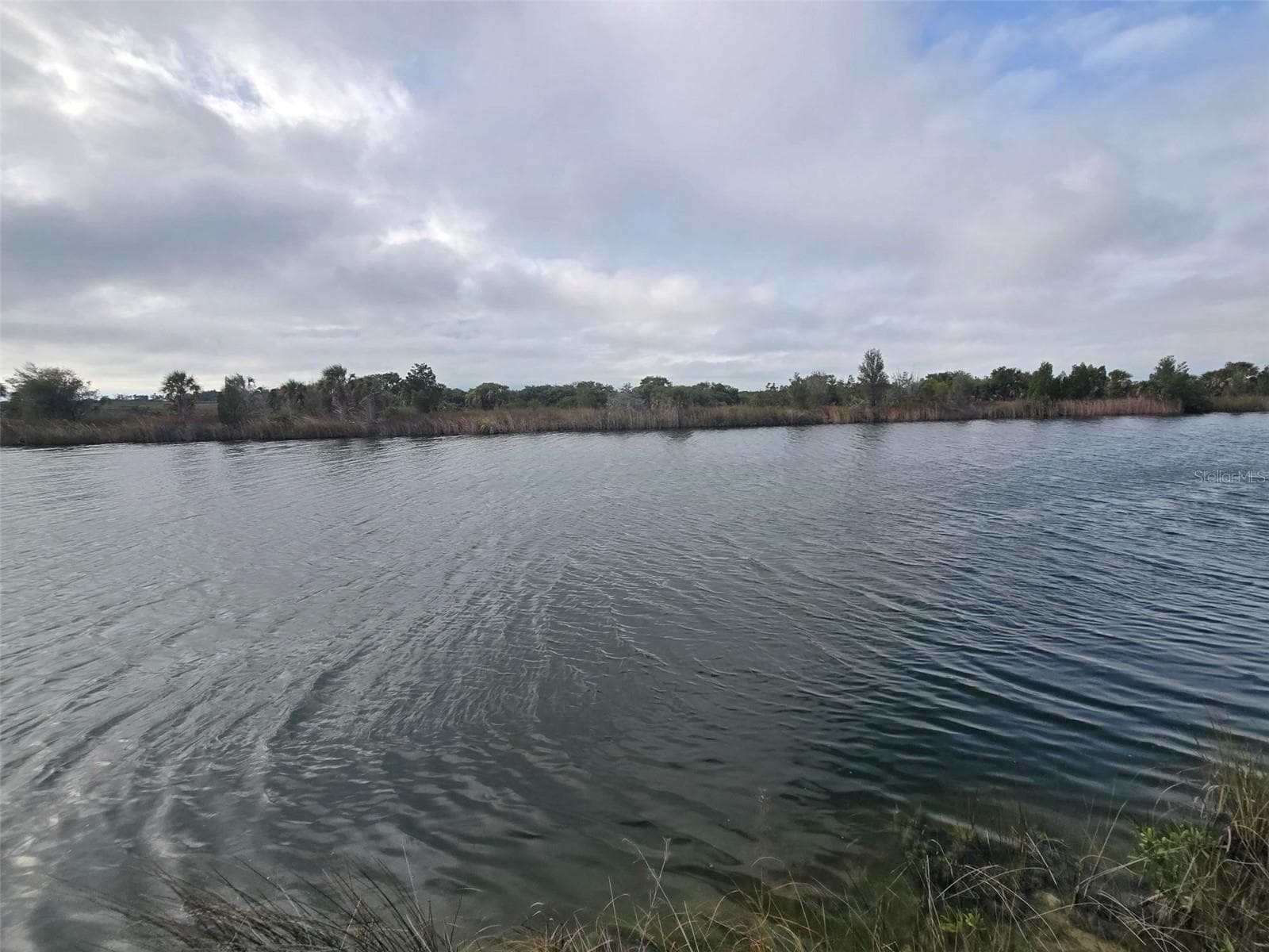 Land at LUGUSTRUM DR, HERNANDO BEACH, photo 4 of 8