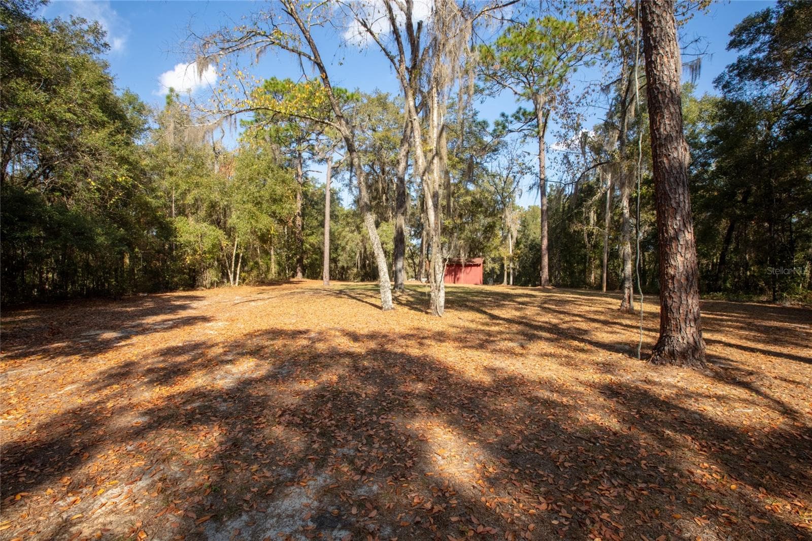 Single Family Residence at 730+732 STATE ROAD 26, MELROSE, photo 2 of 80