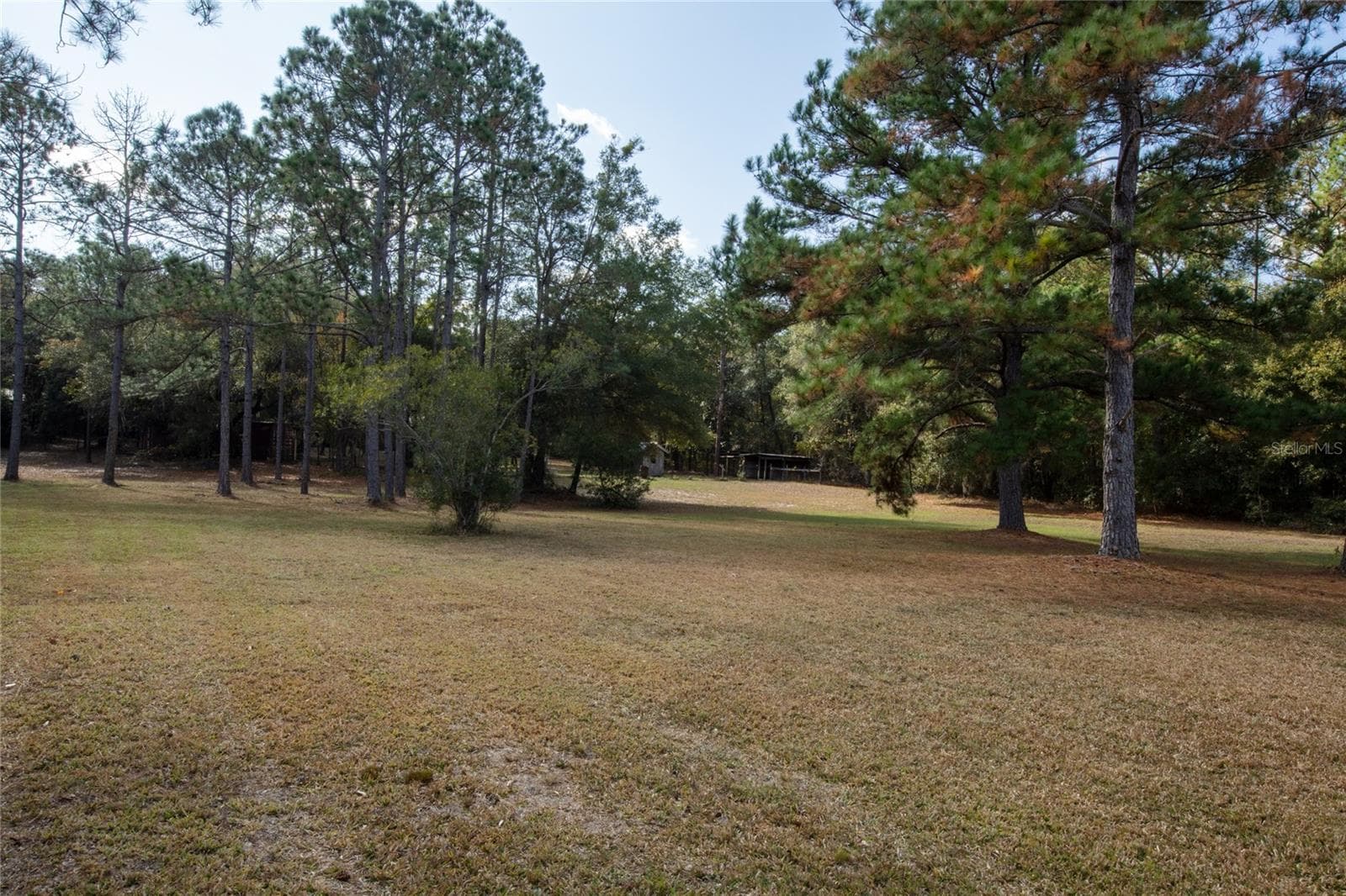 Single Family Residence at 730+732 STATE ROAD 26, MELROSE, photo 22 of 80