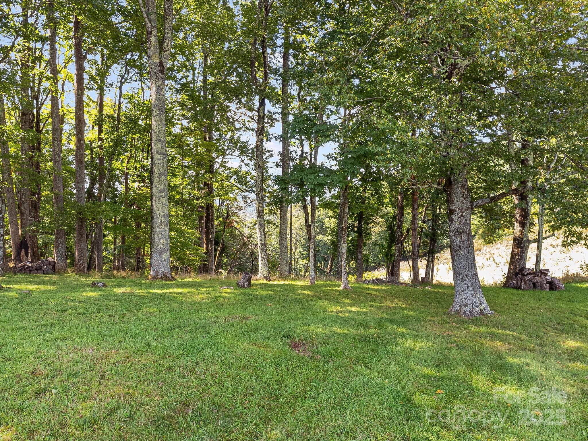 Lot at #62 Poplar Forest Drive, Boone, photo 5 of 27
