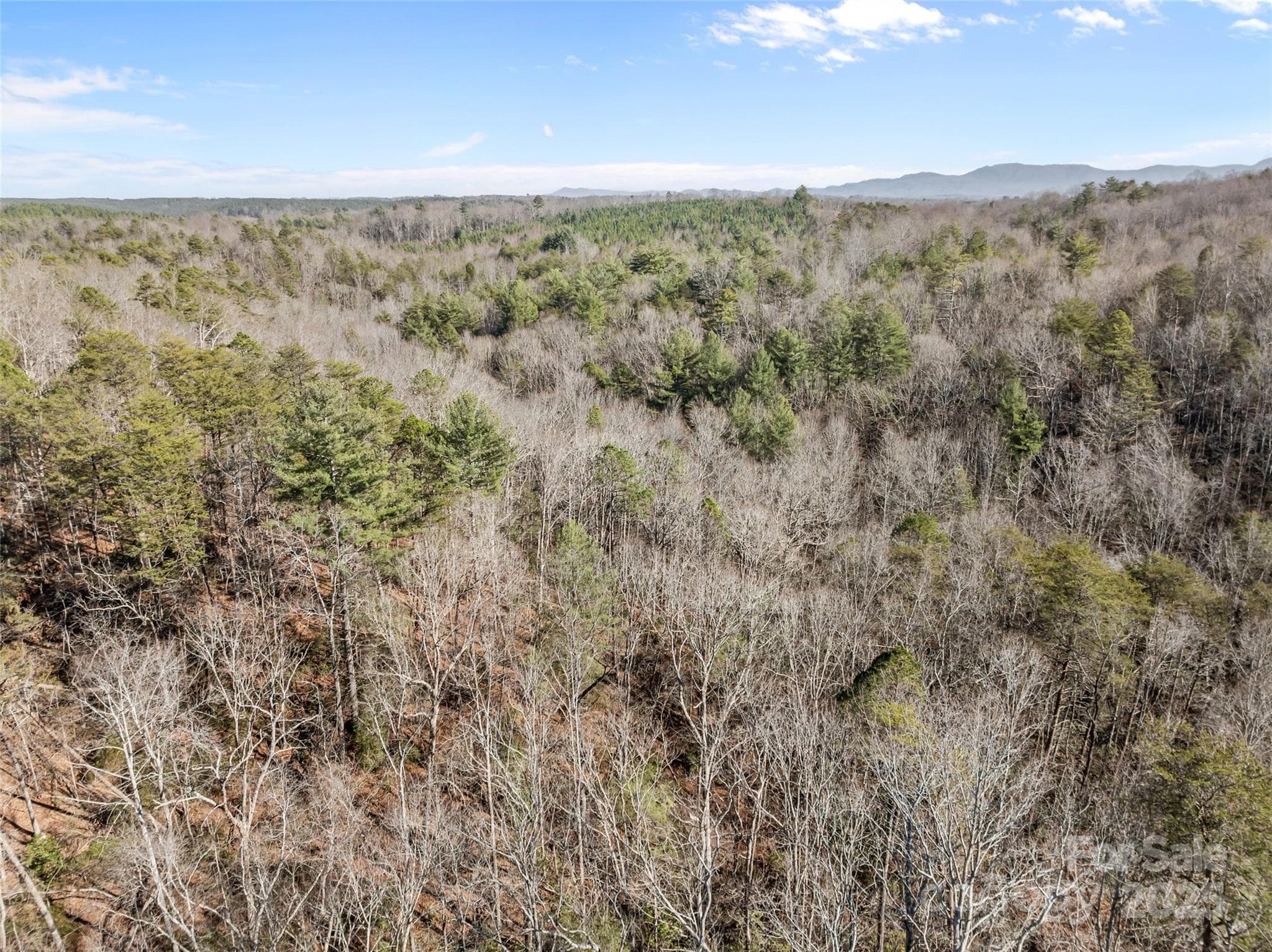 Lot at Nebo, photo 10 of 16