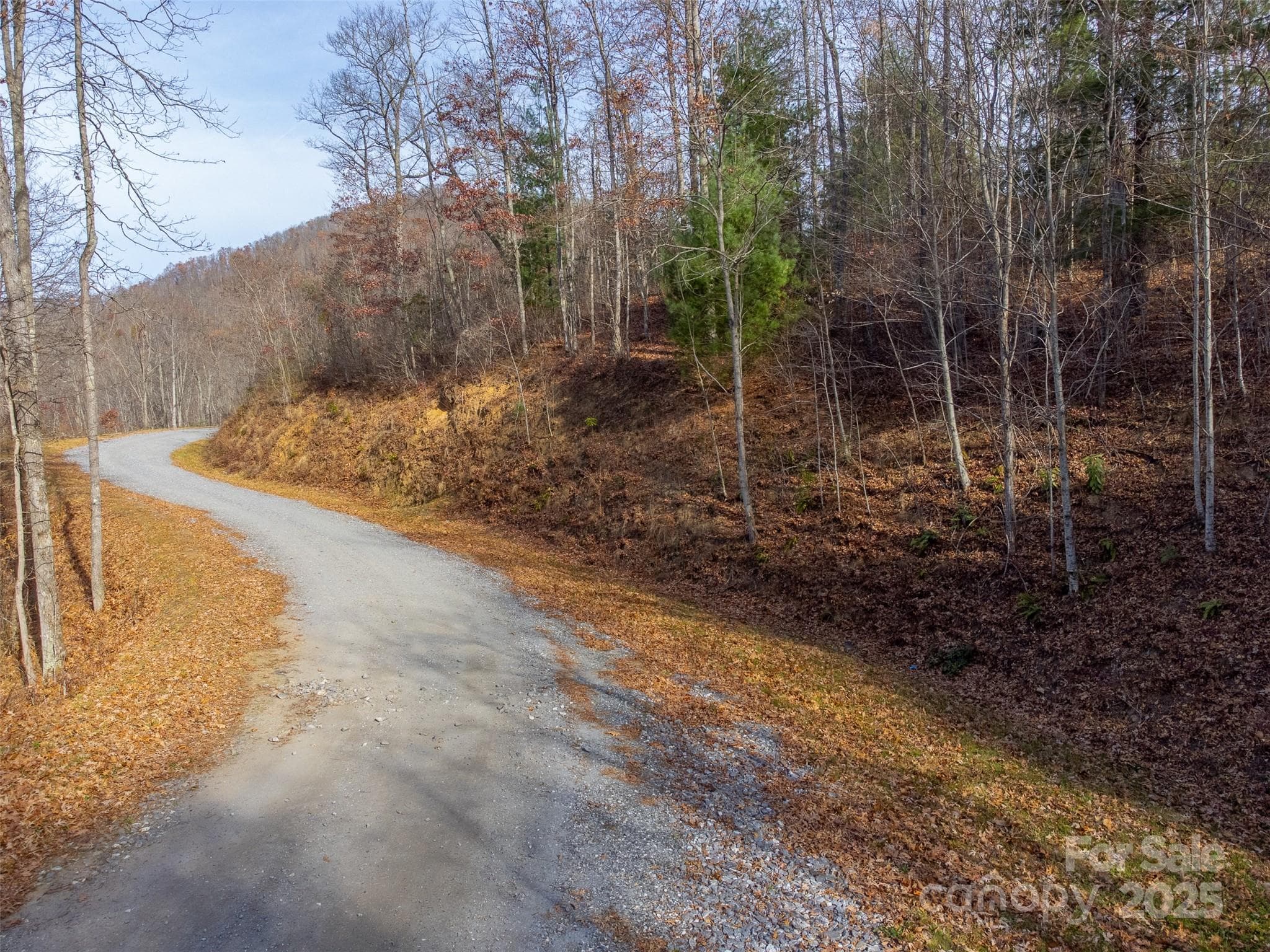 Lot at Sylva, photo 4 of 46