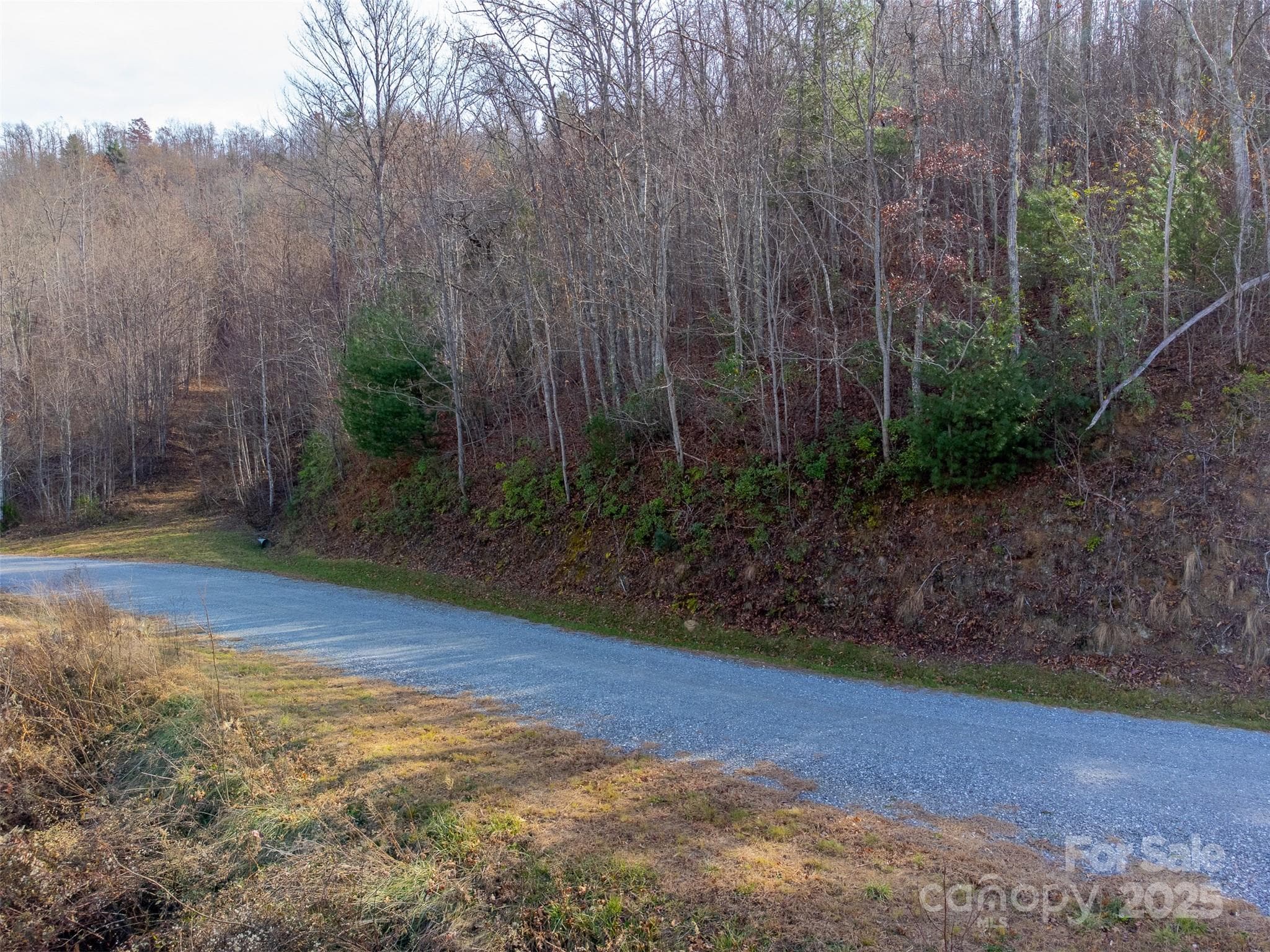 Lot at Sylva, photo 8 of 46