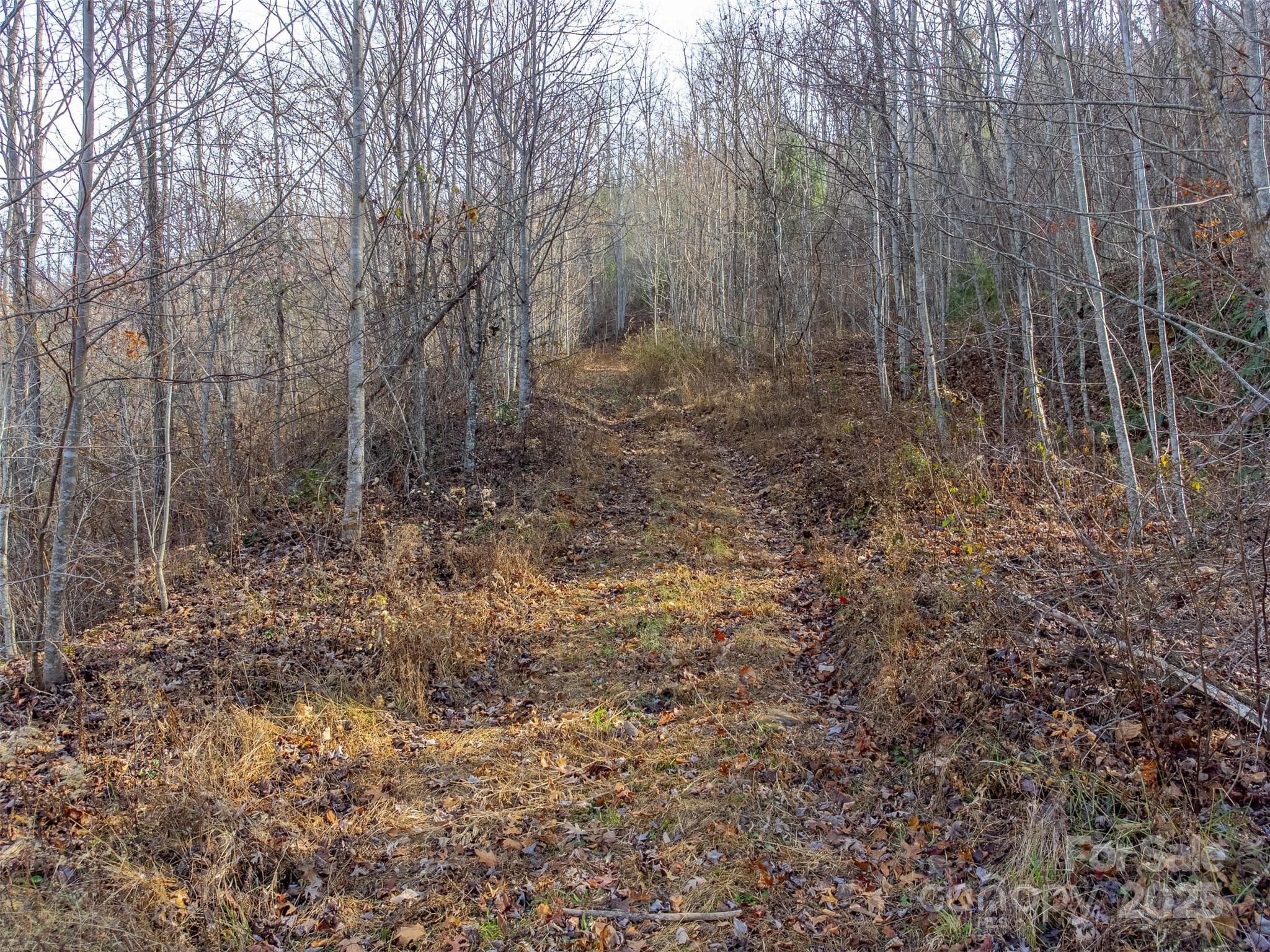 Lot at Sylva, photo 13 of 46