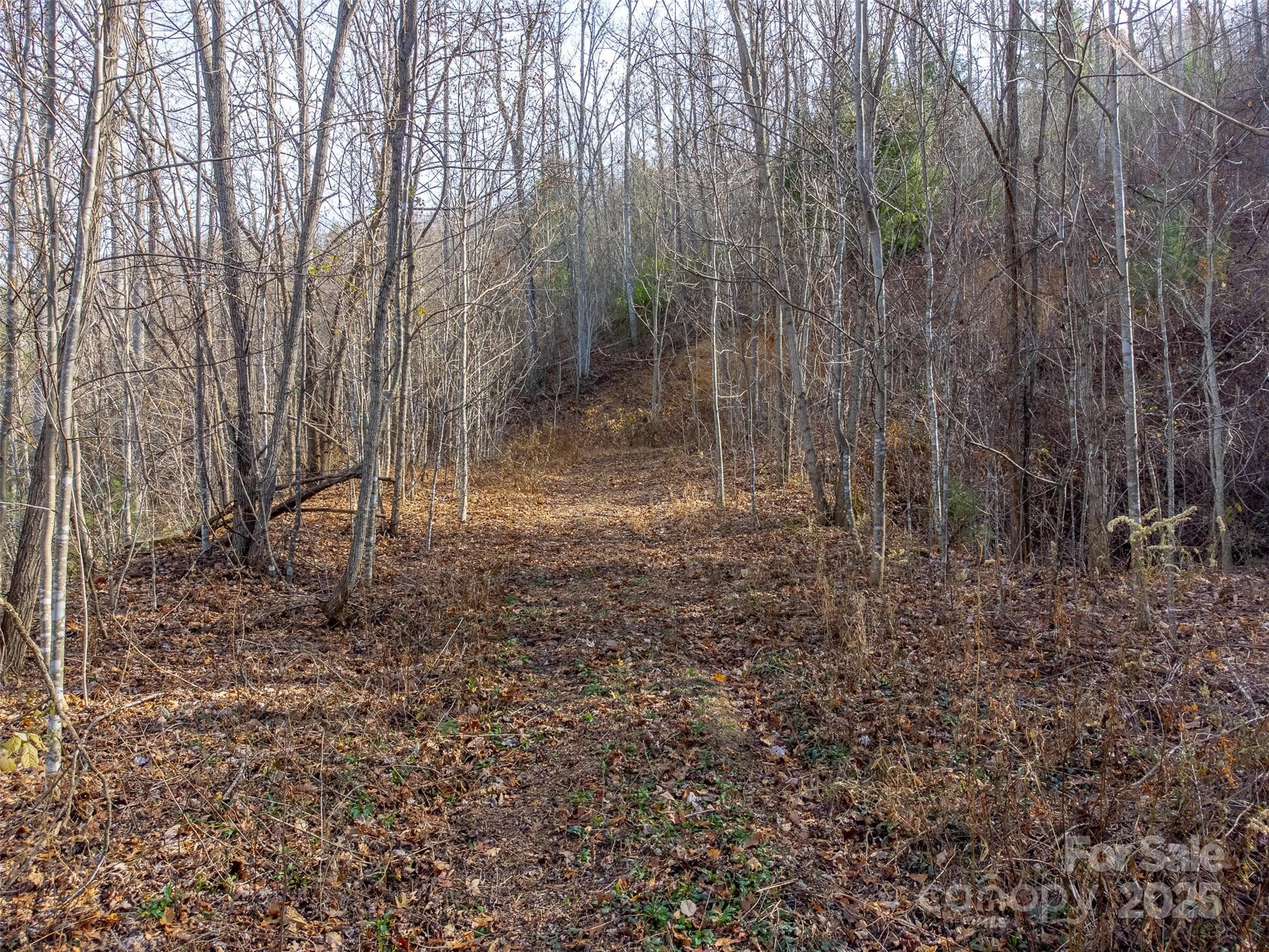 Lot at Sylva, photo 14 of 46