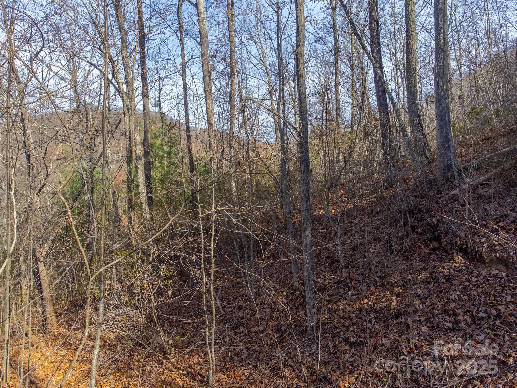 Lot at Sylva, photo 17 of 46