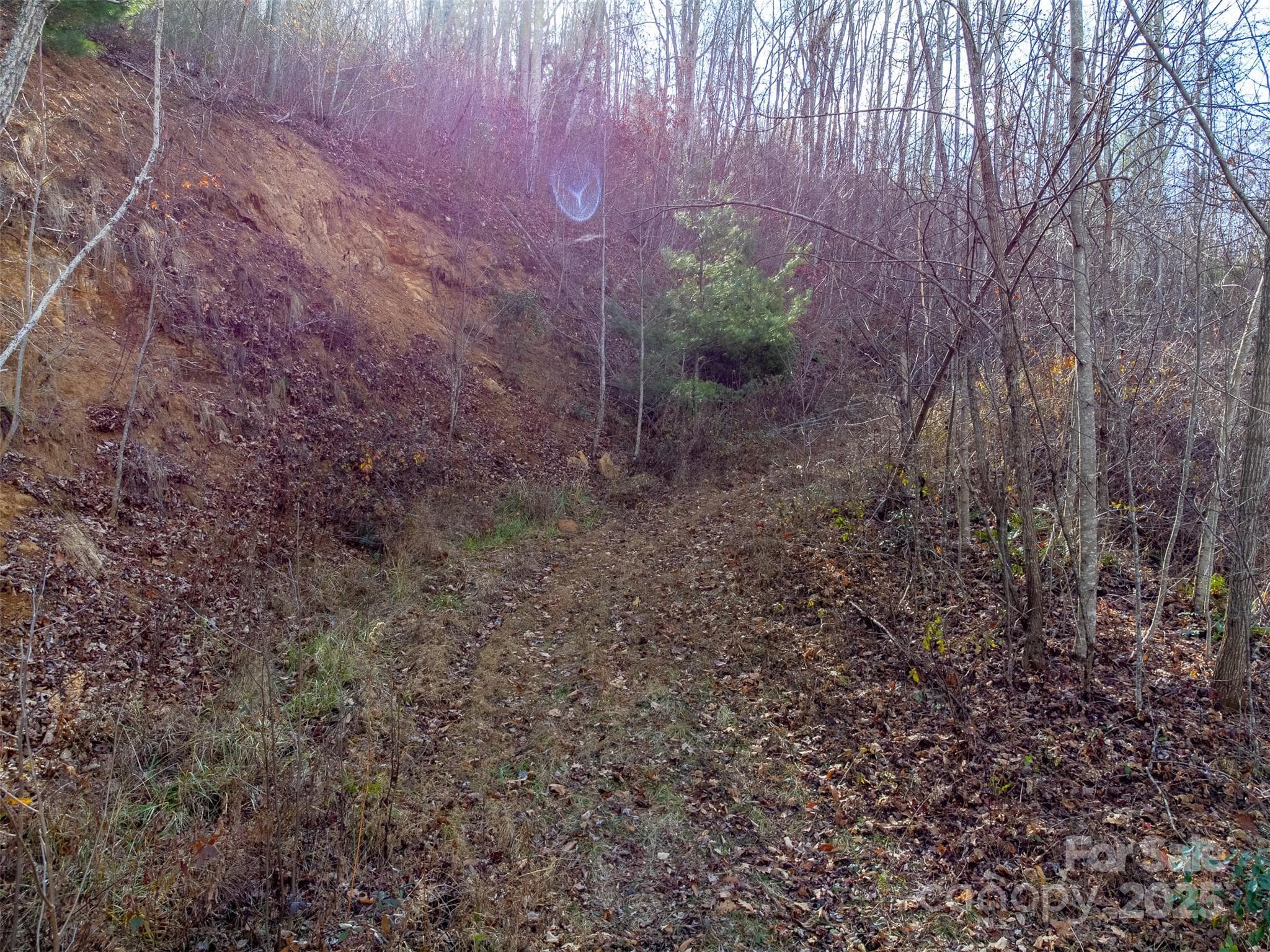 Lot at Sylva, photo 18 of 46