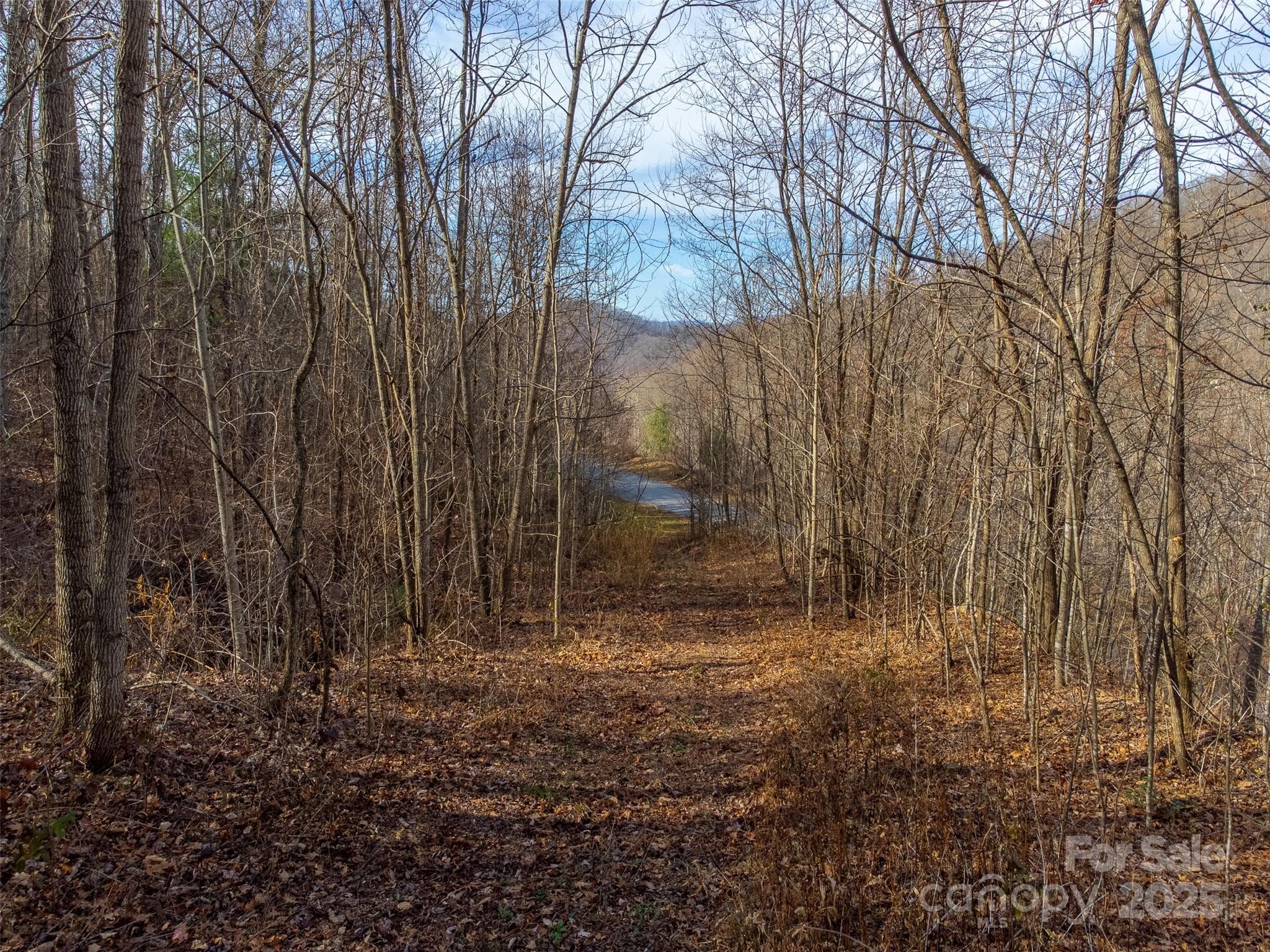 Lot at Sylva, photo 19 of 46