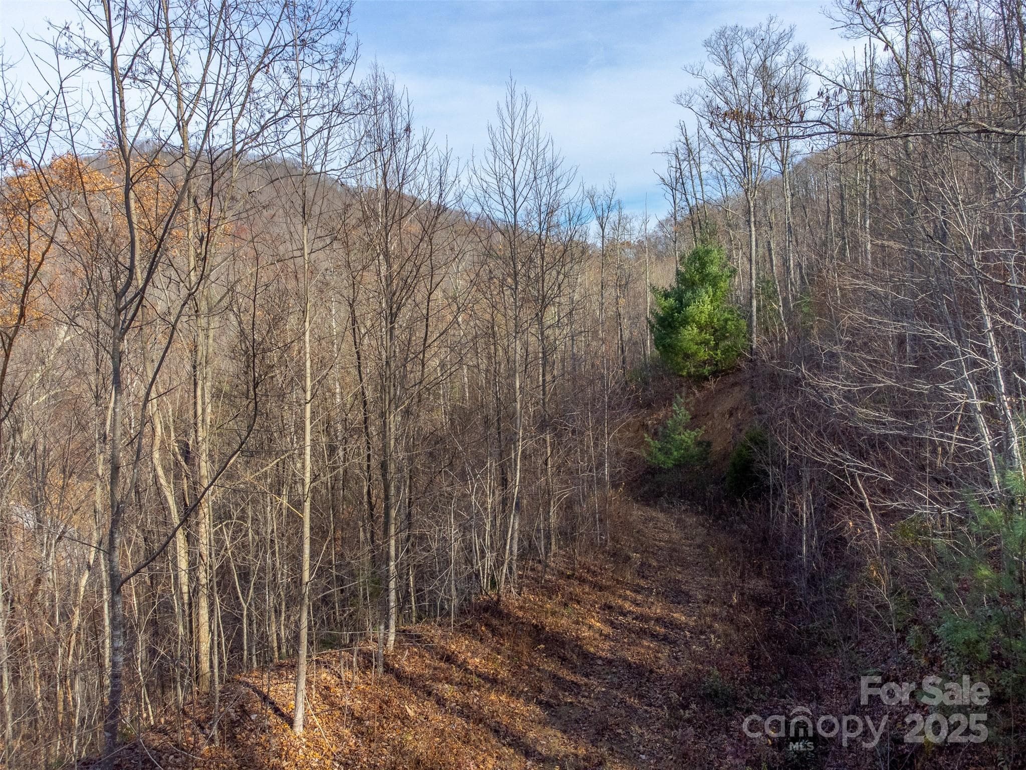 Lot at Sylva, photo 22 of 46