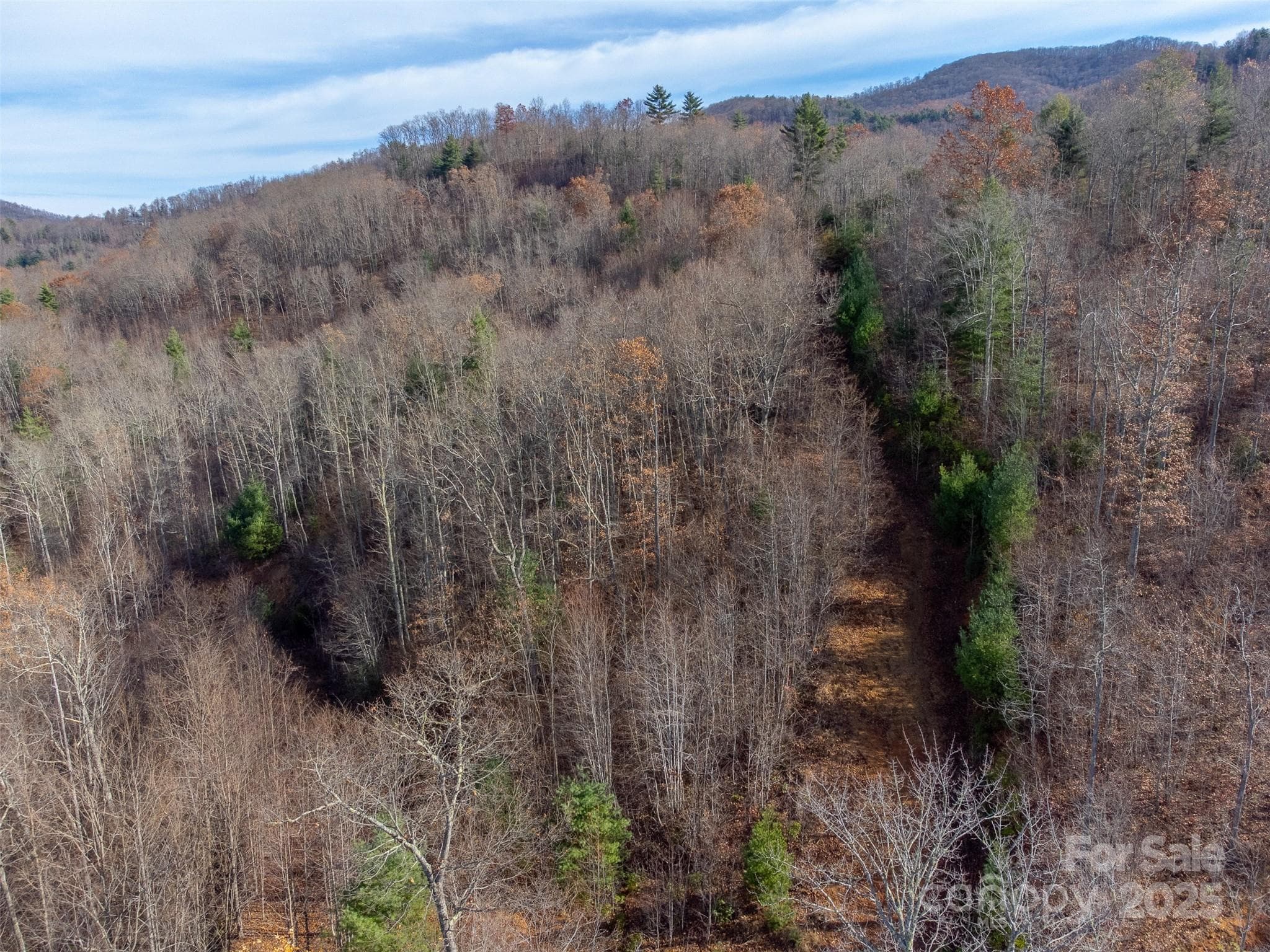 Lot at Sylva, photo 26 of 46