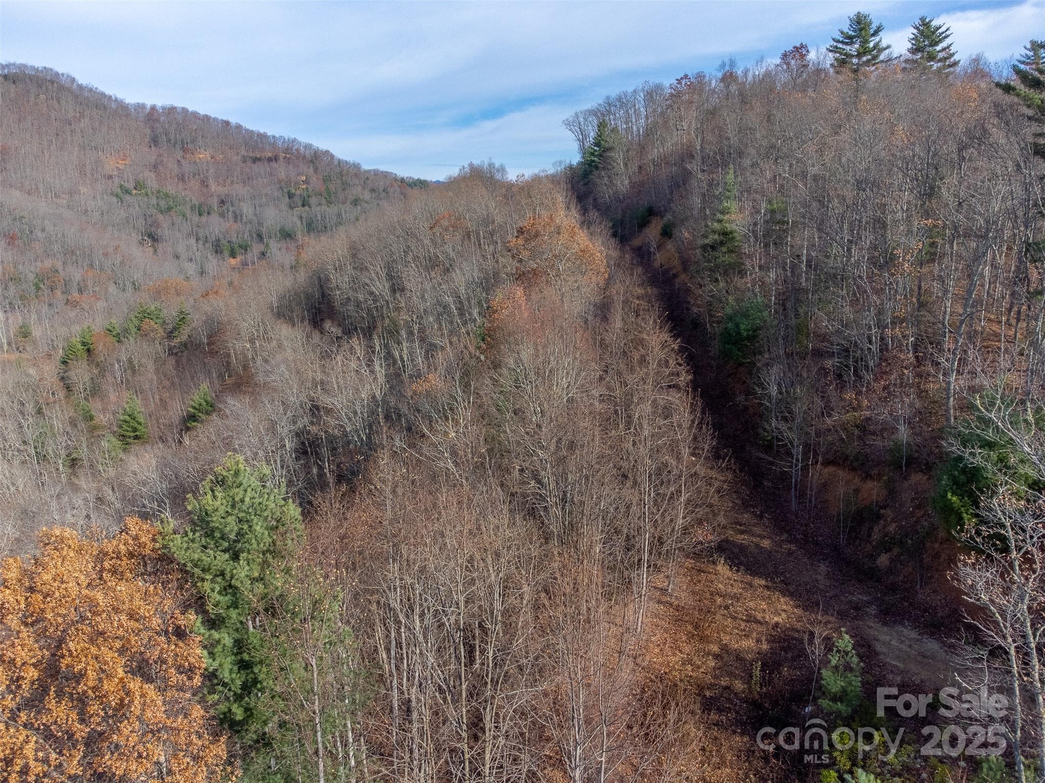 Lot at Sylva, photo 27 of 46