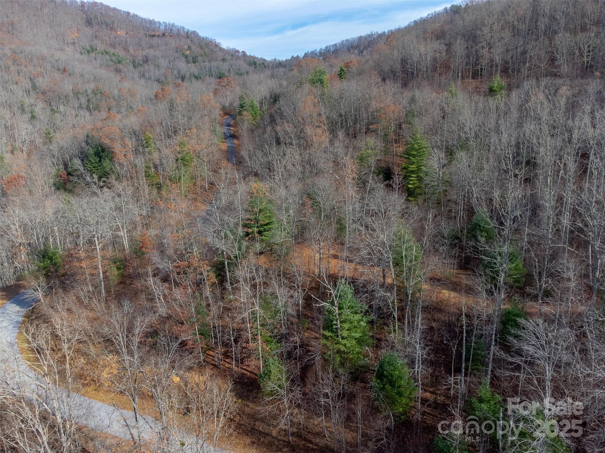 Lot at Sylva, photo 39 of 46