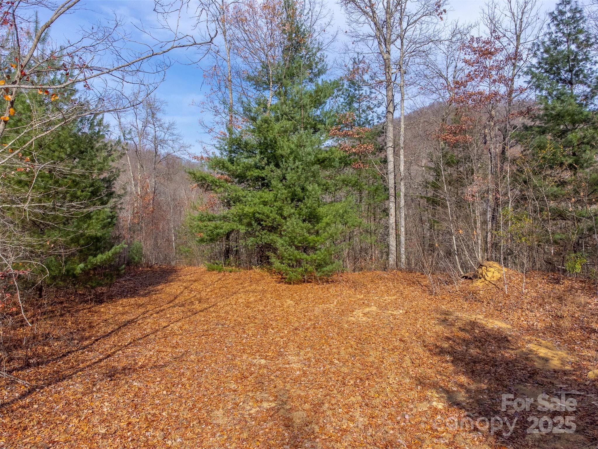 Lot at Sylva, photo 42 of 46